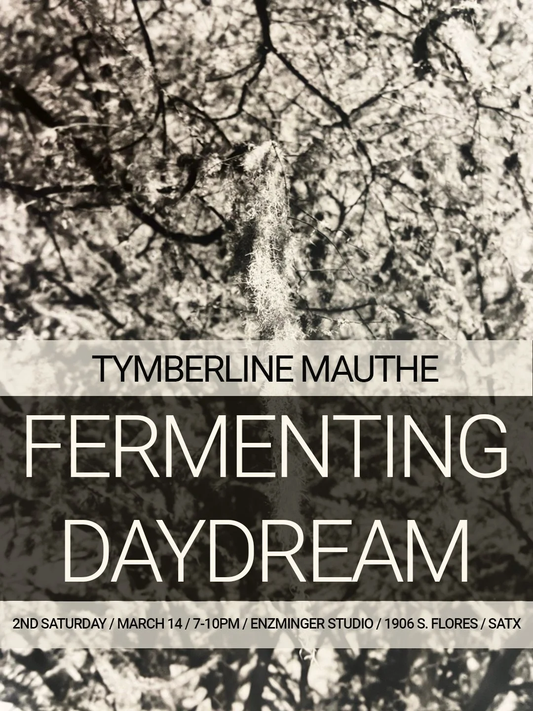 Fermenting Dreams at Enzminger Studio