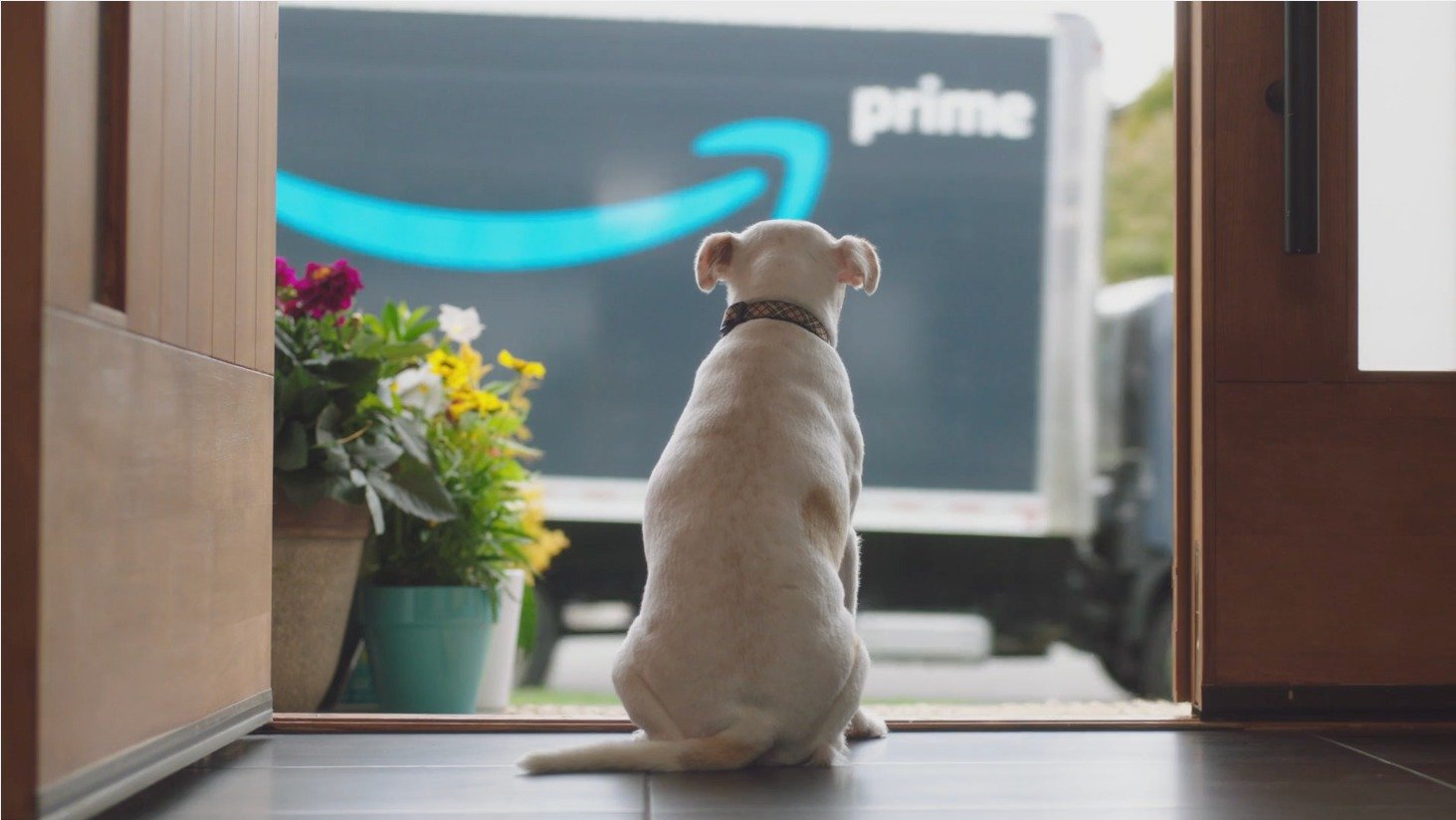 Amazon Delivery - TV Spot