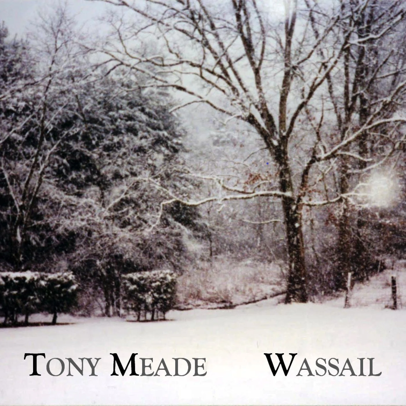 Wassail (2020)