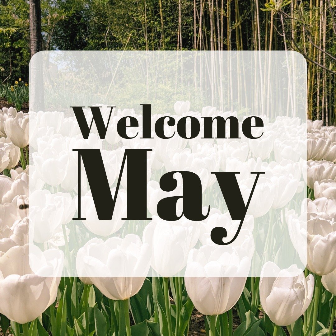 🌸 Welcome, May! 🌸

May your days be filled with joy, laughter, countless moments of inspiration and beautiful memories. ❤️

Here's to new beginnings, fresh opportunities, and all the wonderful adventures that await. 👏

Welcome, May, we're so excit
