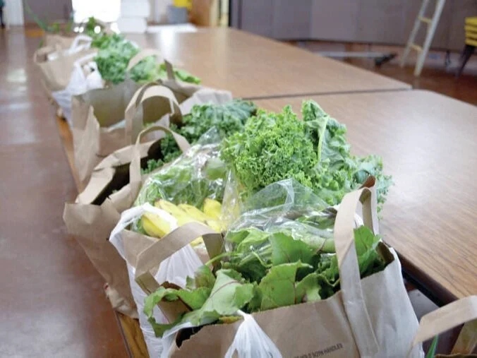 Source: Stephanie Shinno / The Garden Island