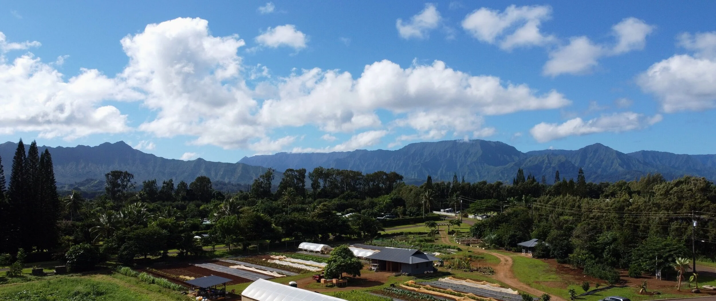 DJI_0233.jpg