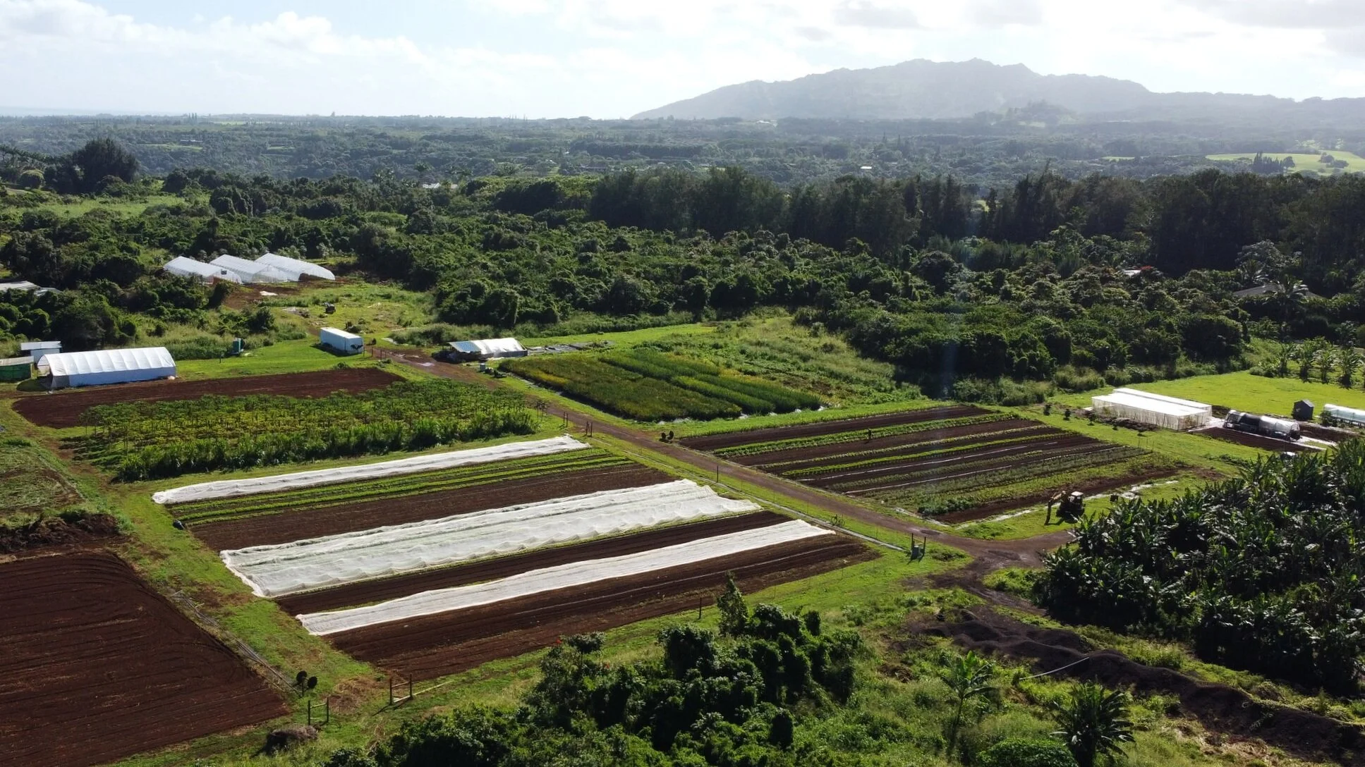 DJI_0011+%281%29.jpg