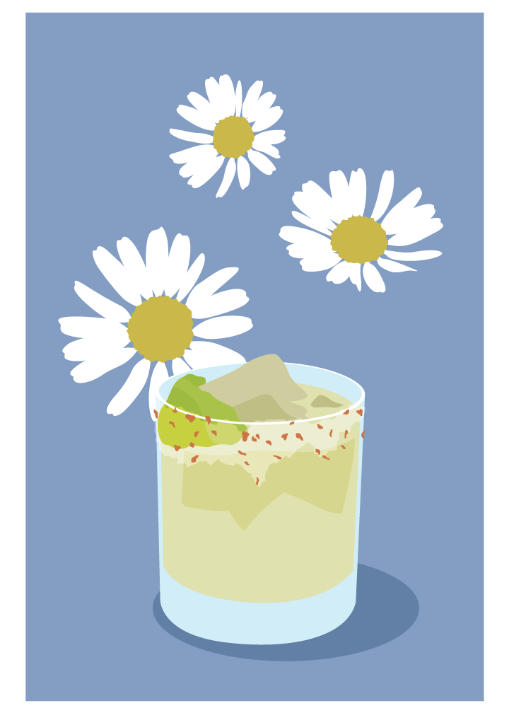 Illustration of margarita and daisies