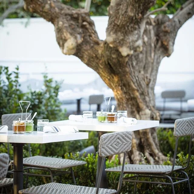 #tbt Missing dining al fresco? Reservations are now being taken for both locations. 
Link in bio>