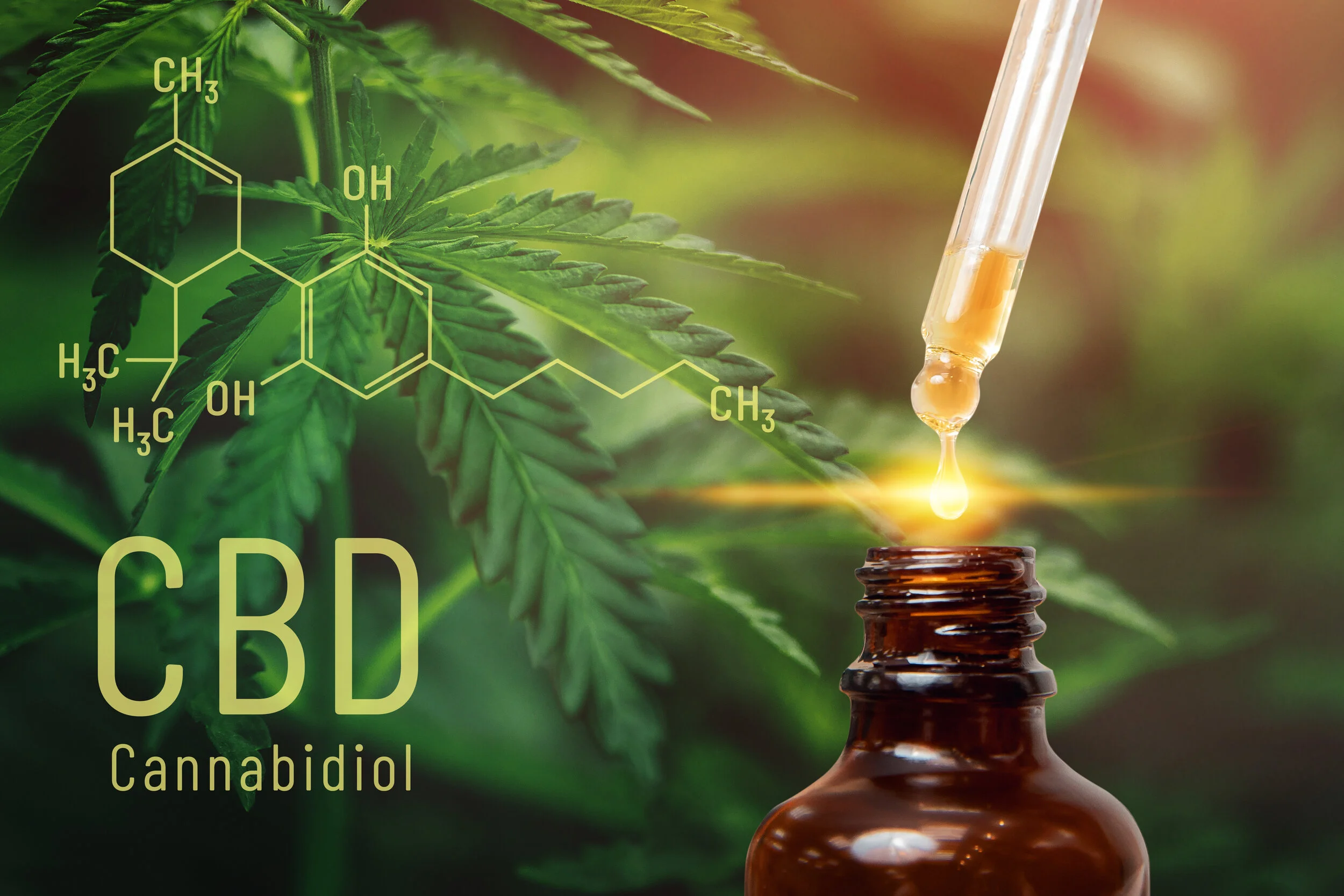 What is CBD?