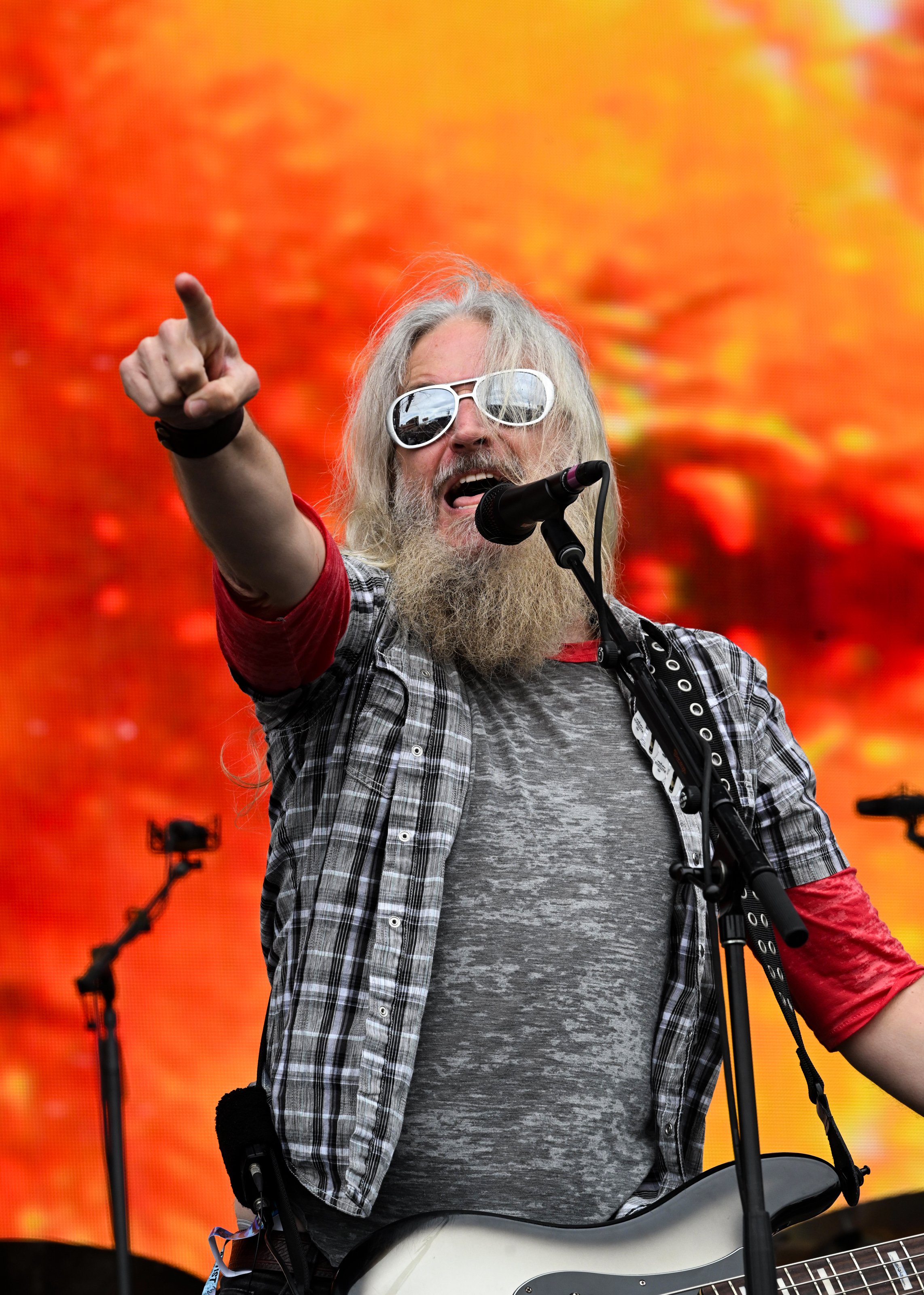 SNW Mastodon-3.jpg