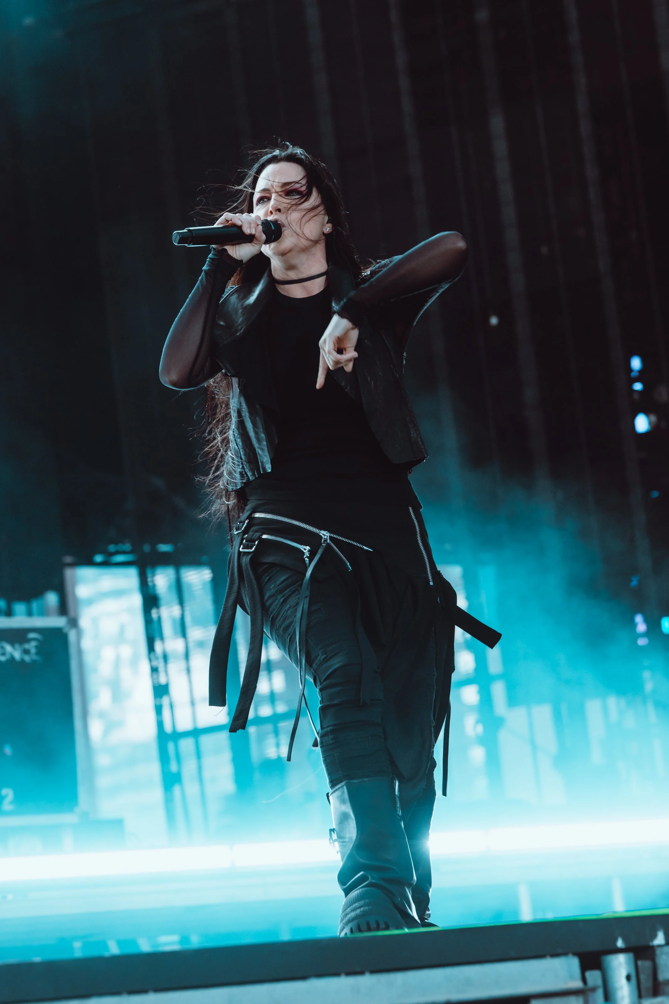 Evanescence -17.jpg