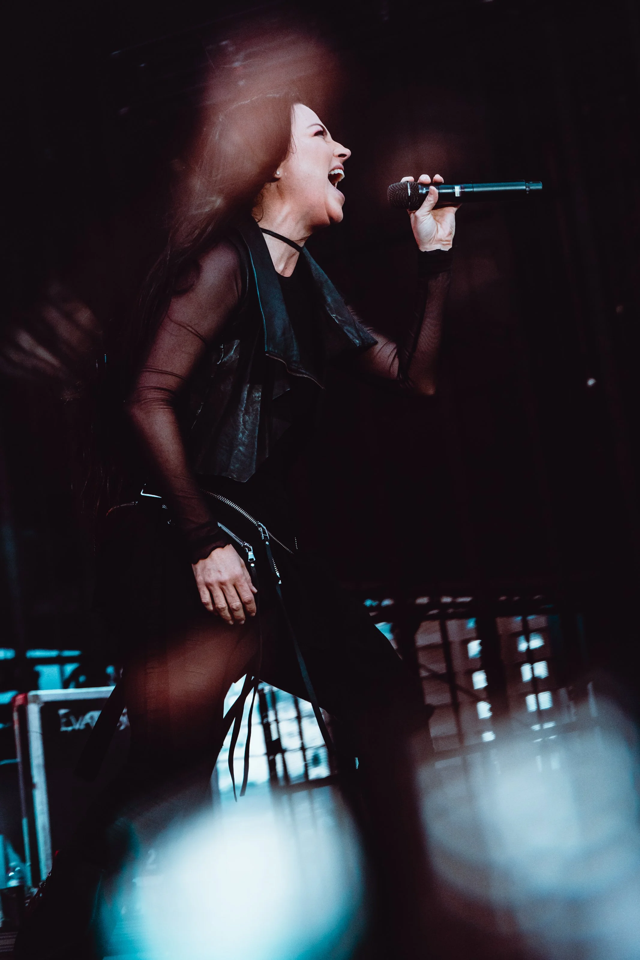 Evanescence -06.jpg