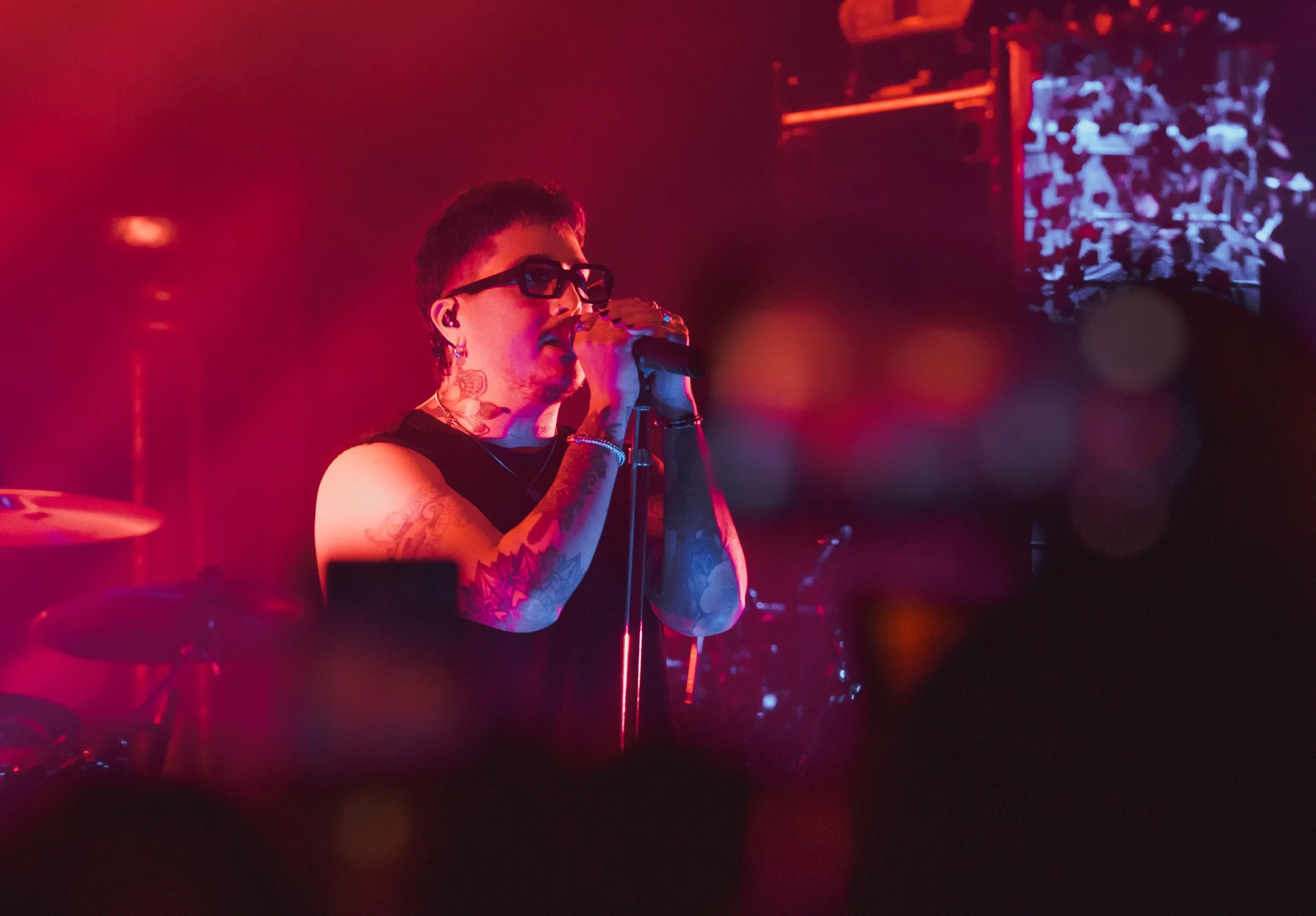 Dayseeker-26.jpg