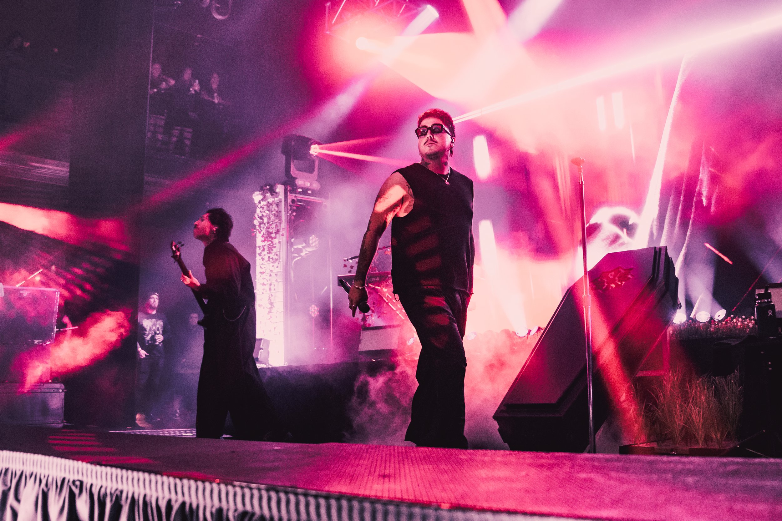 Dayseeker-11.jpg
