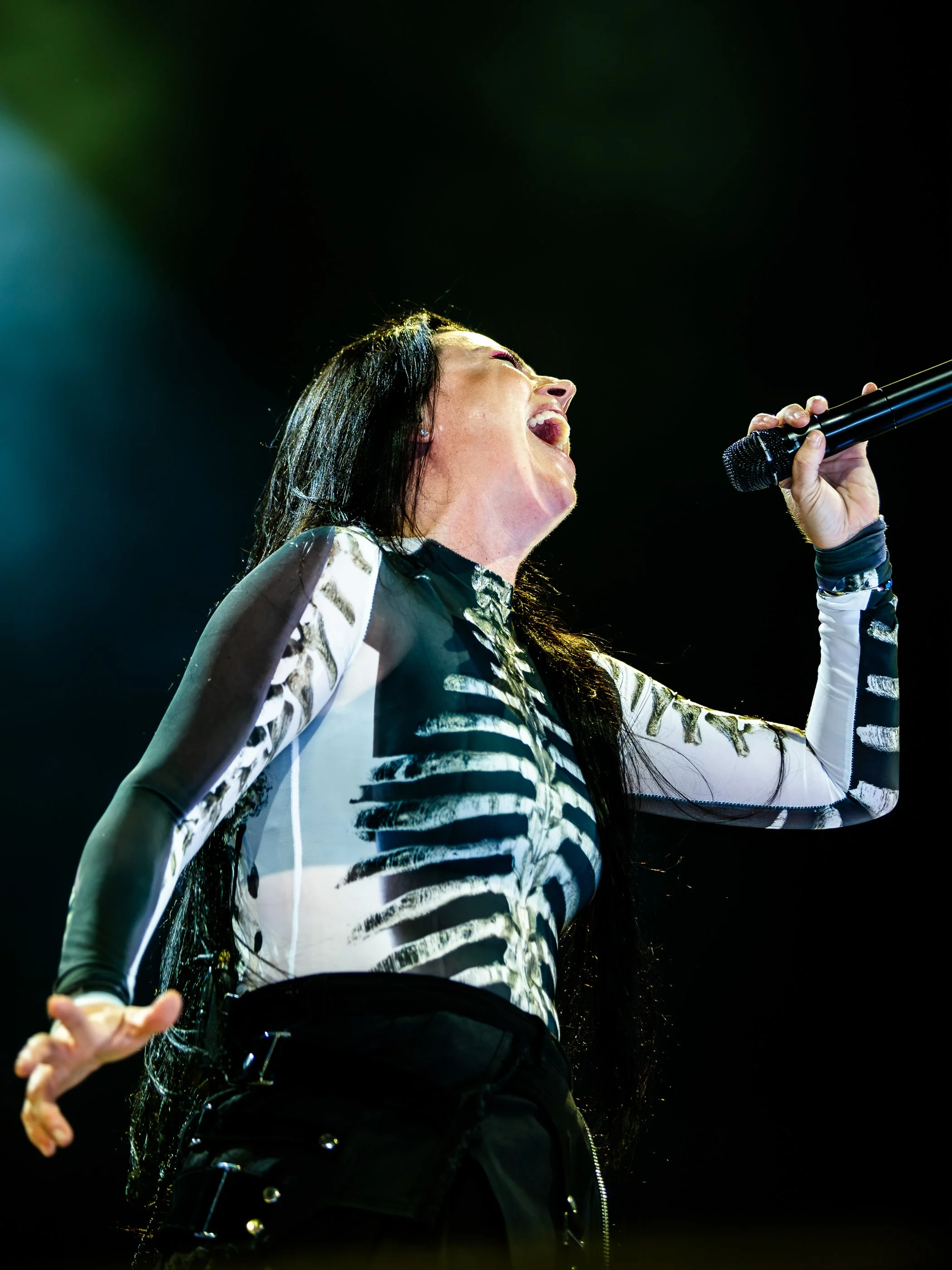 evanescense-13.jpg