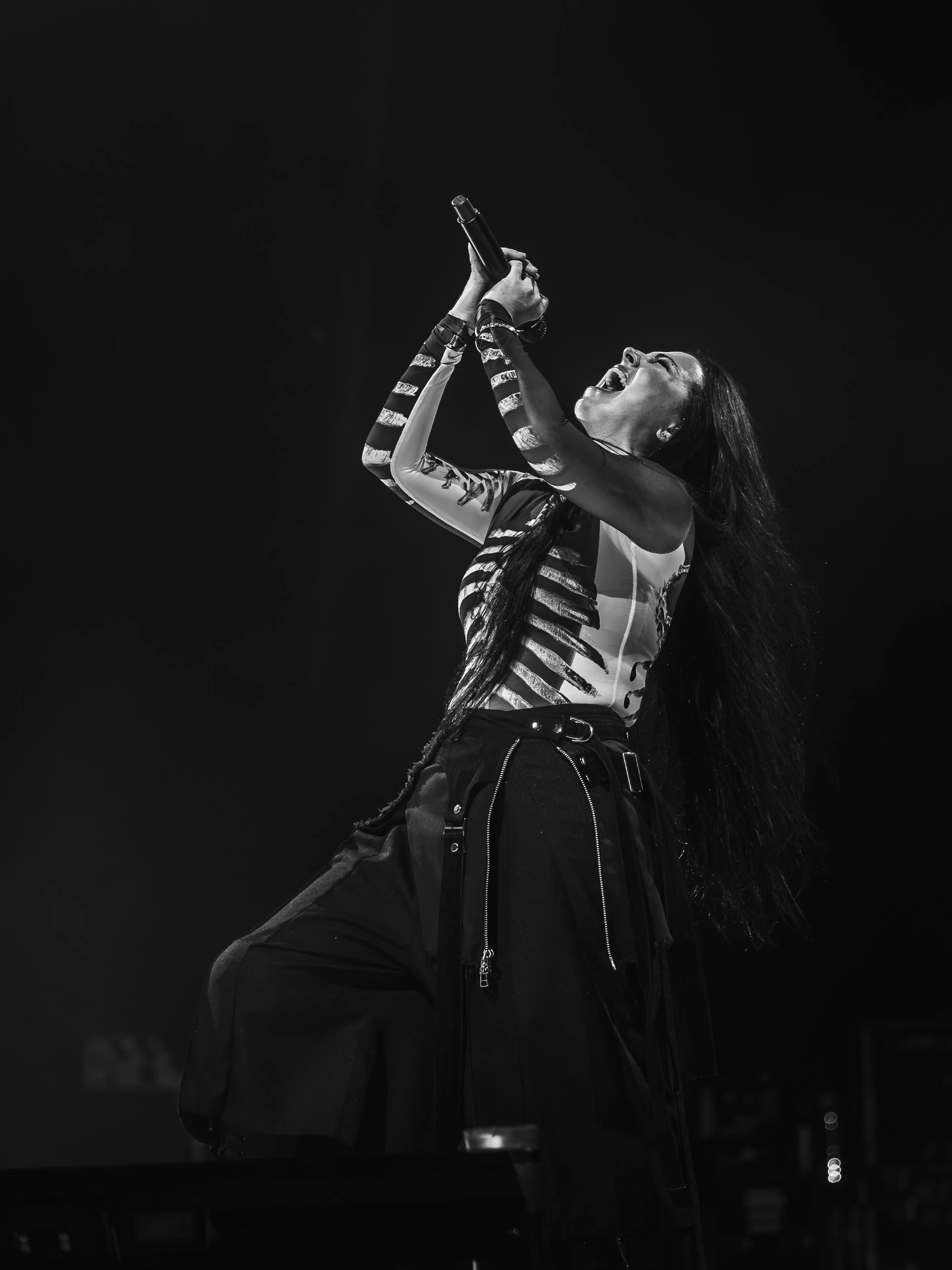 evanescense-36.jpg