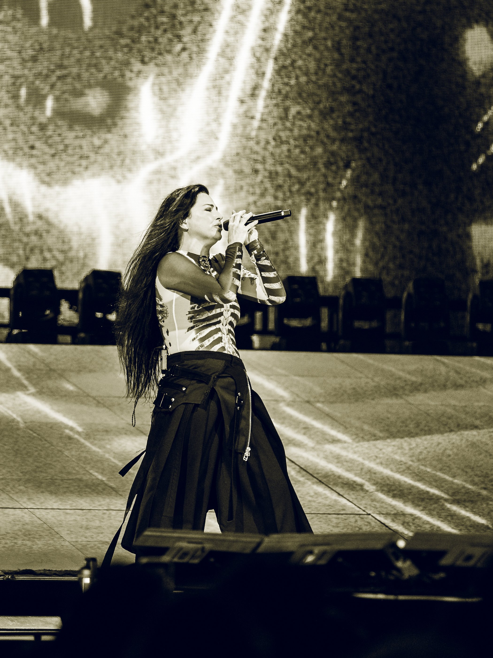 evanescense-02.jpg
