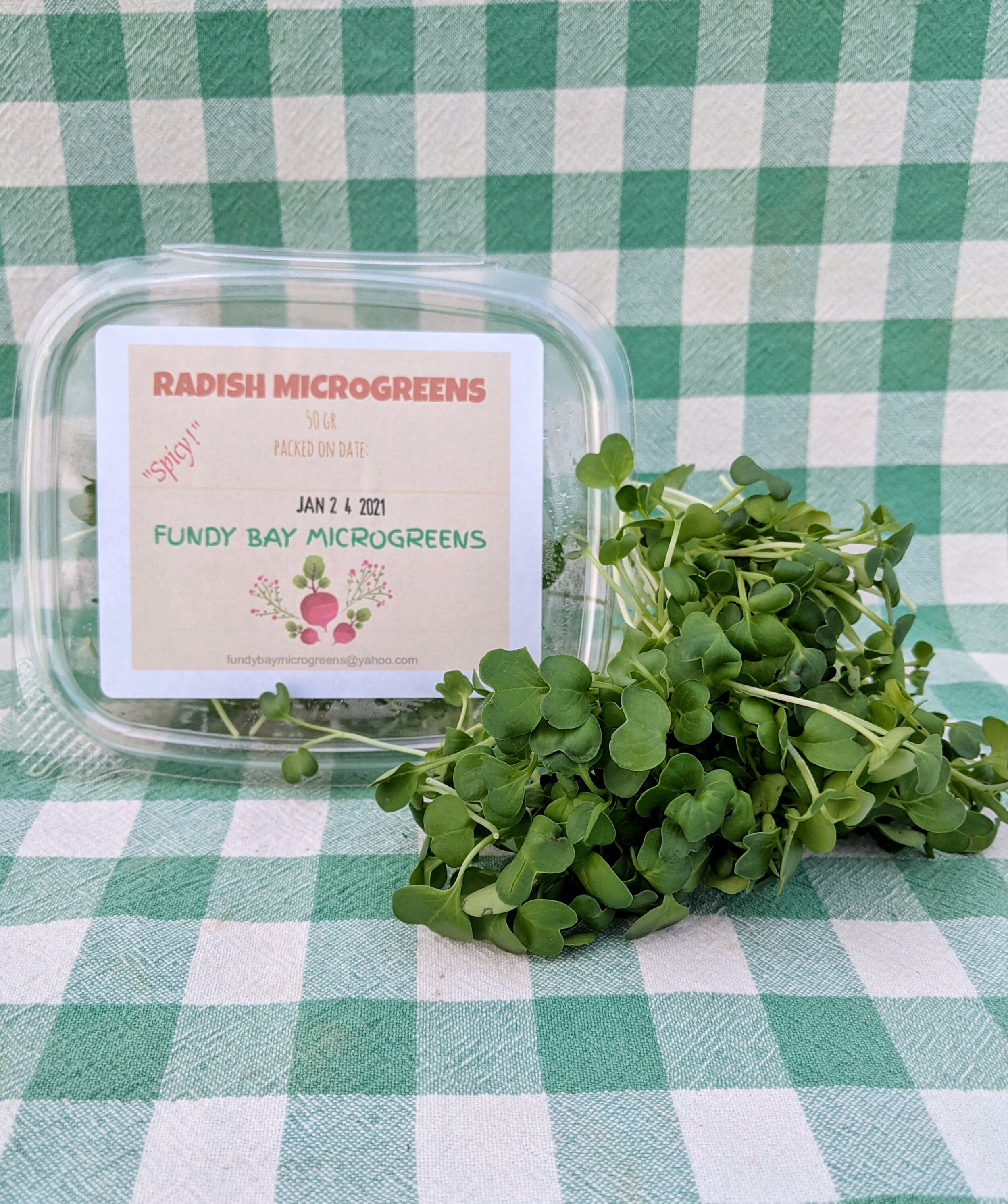 Radish Microgreens - Fundy Bay Microgreens