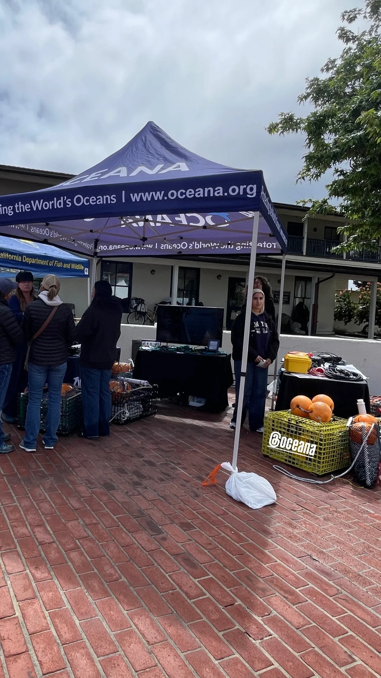 Oceana (10).jpg