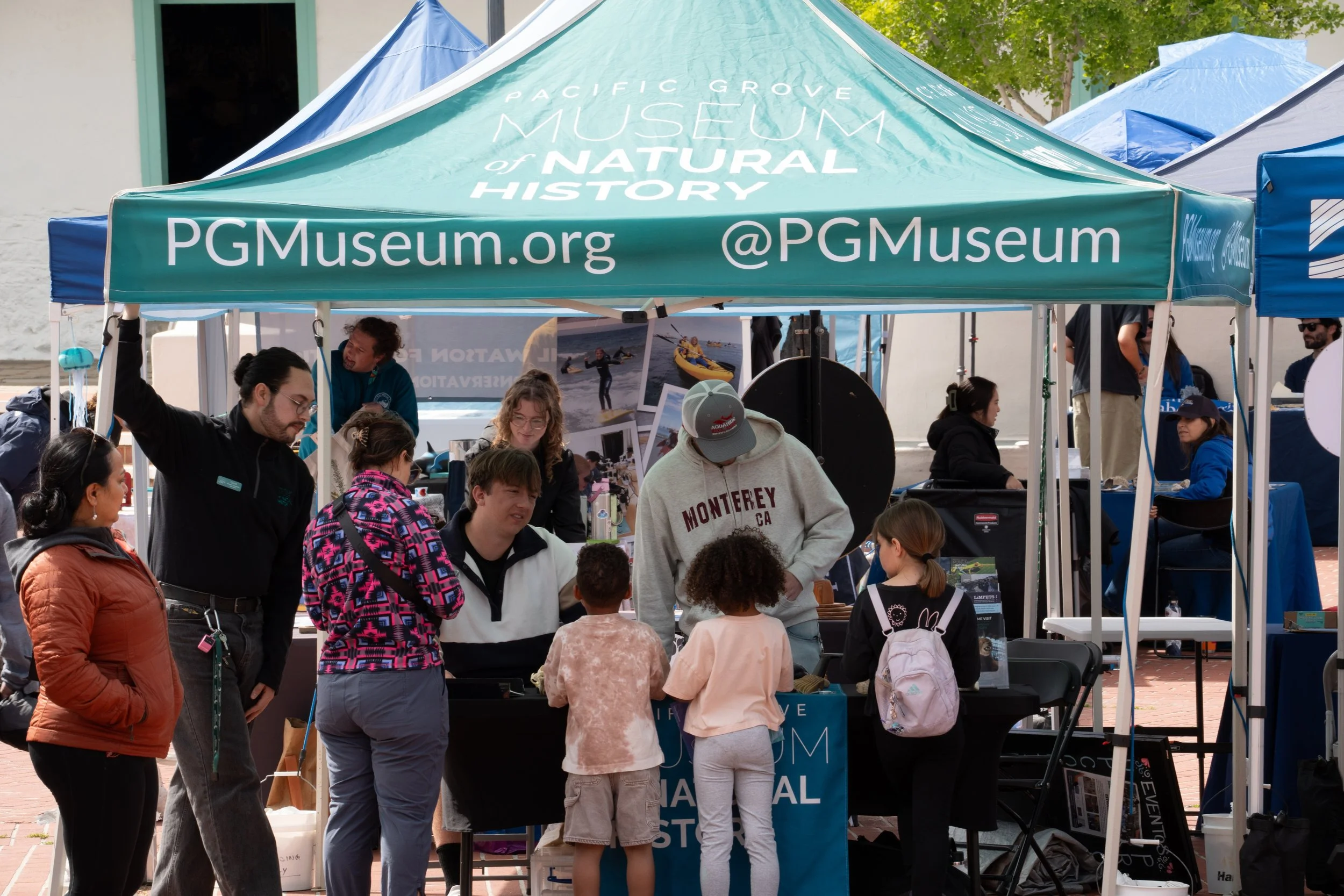 Whale Fest 2026-99.jpg