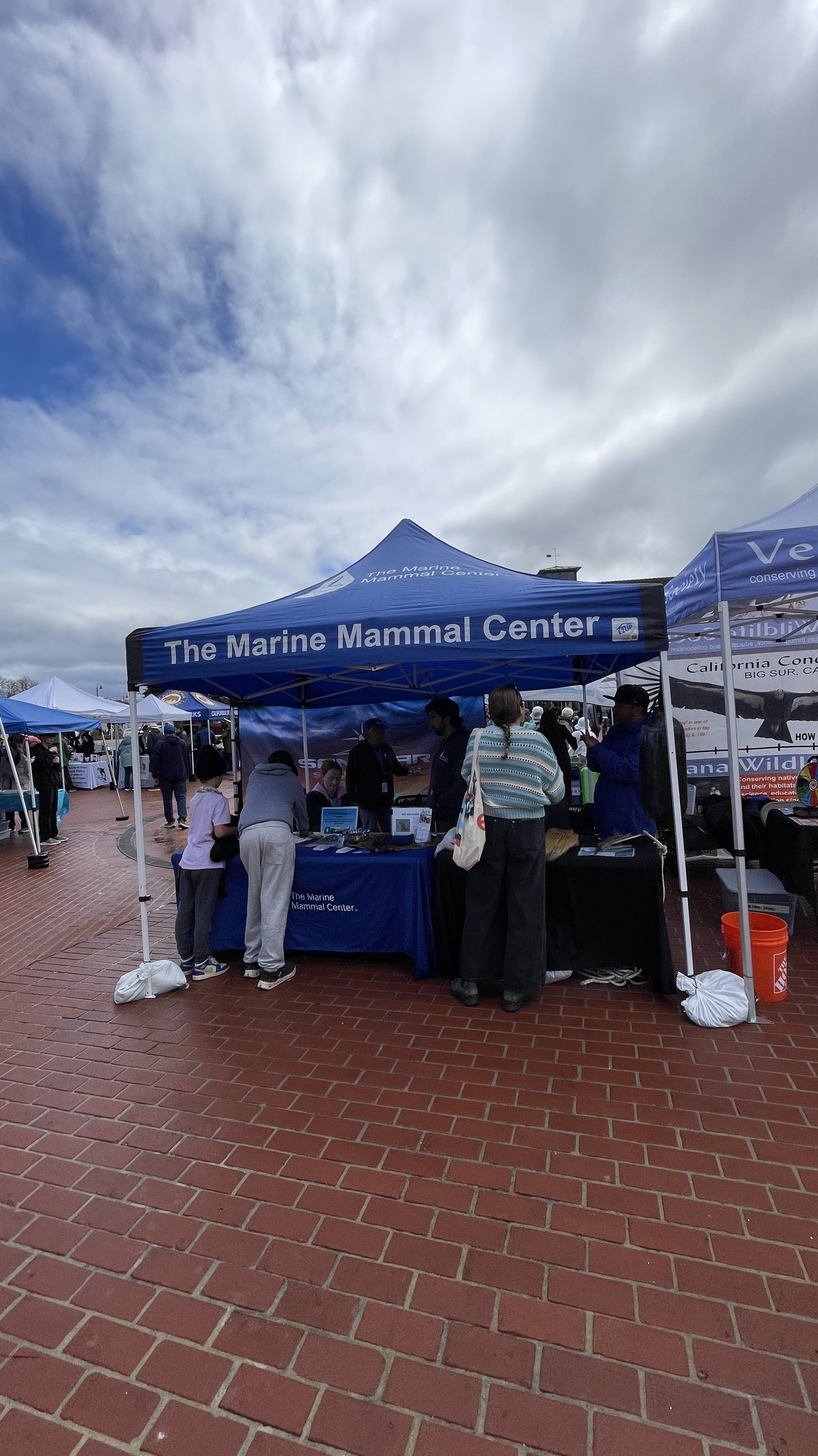 The Marine Mammal Center 4 (3).JPEG