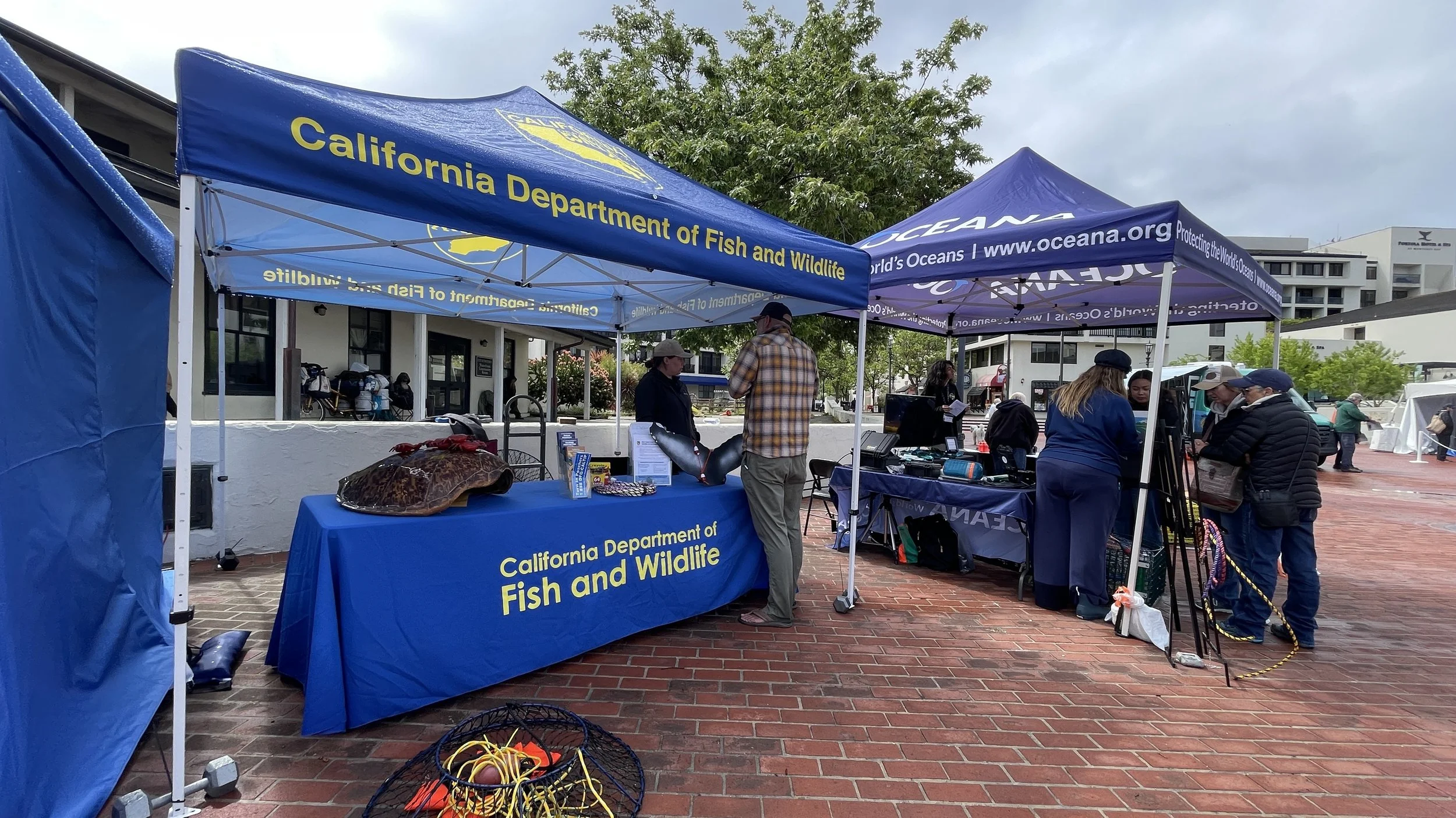 California Department of Fish and Wildlife (7).JPEG