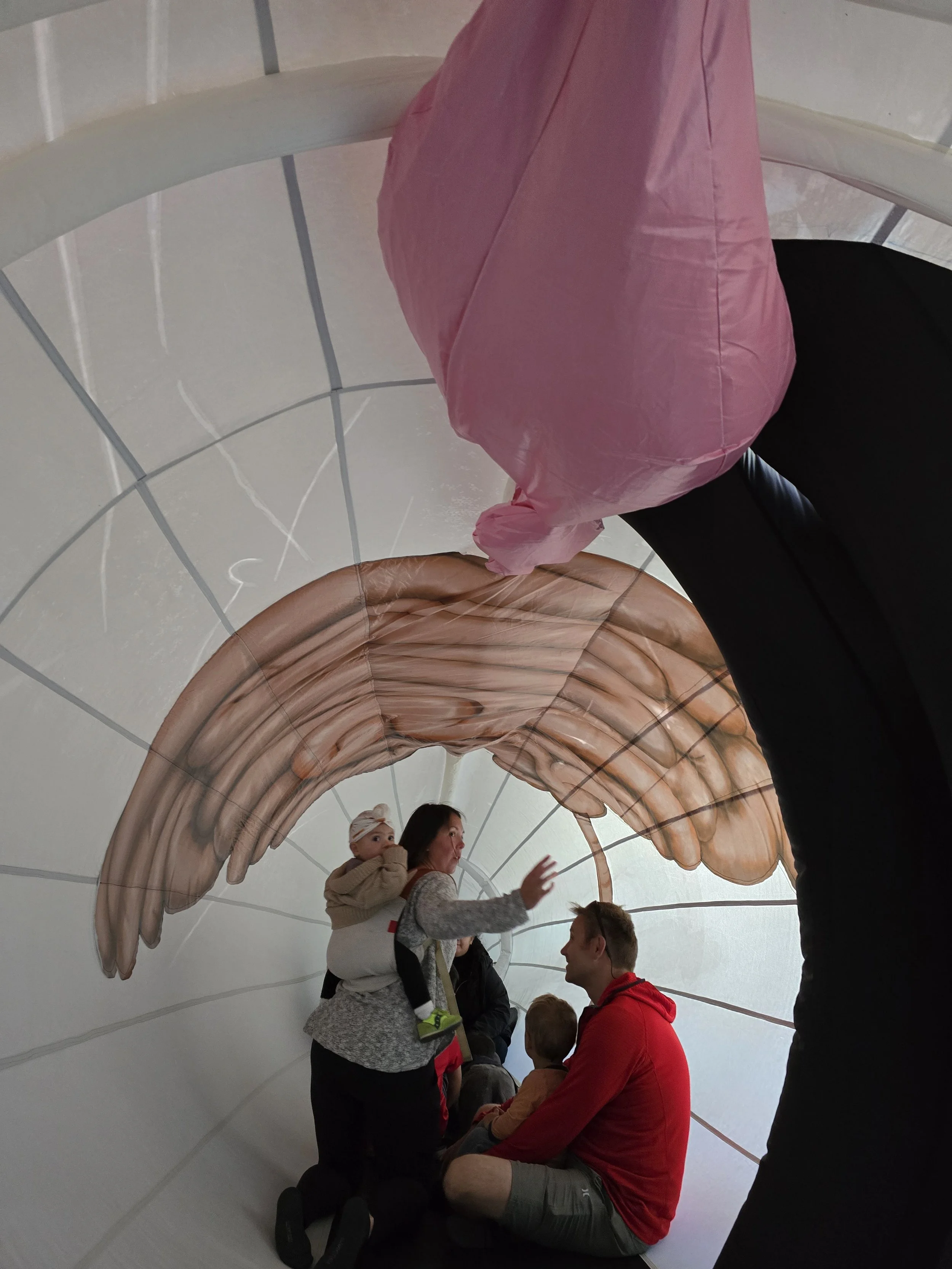 People inside a large inflatable whale model