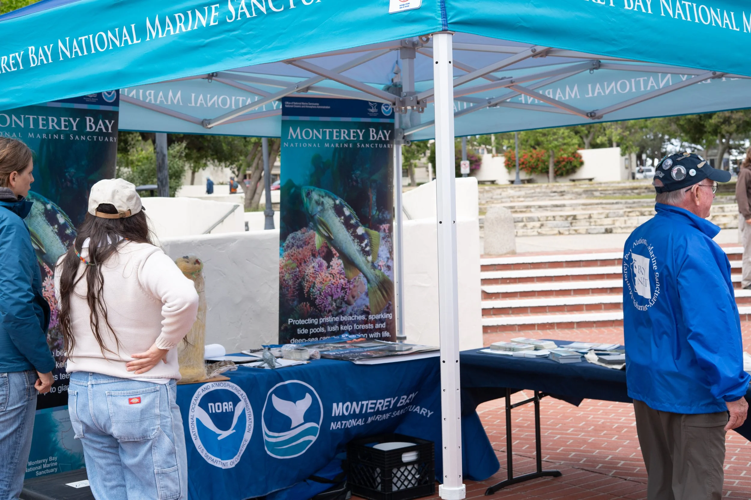 Whale Fest 2026-57.jpg