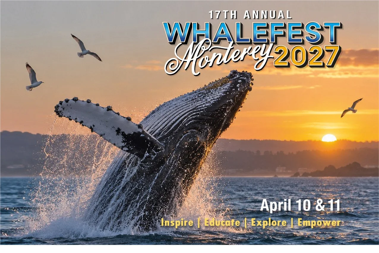 Image of an event flyer for the 17th annual well fest Monterey 2027 featuring a humpback whale breaching out of the water with a sunset in the background.