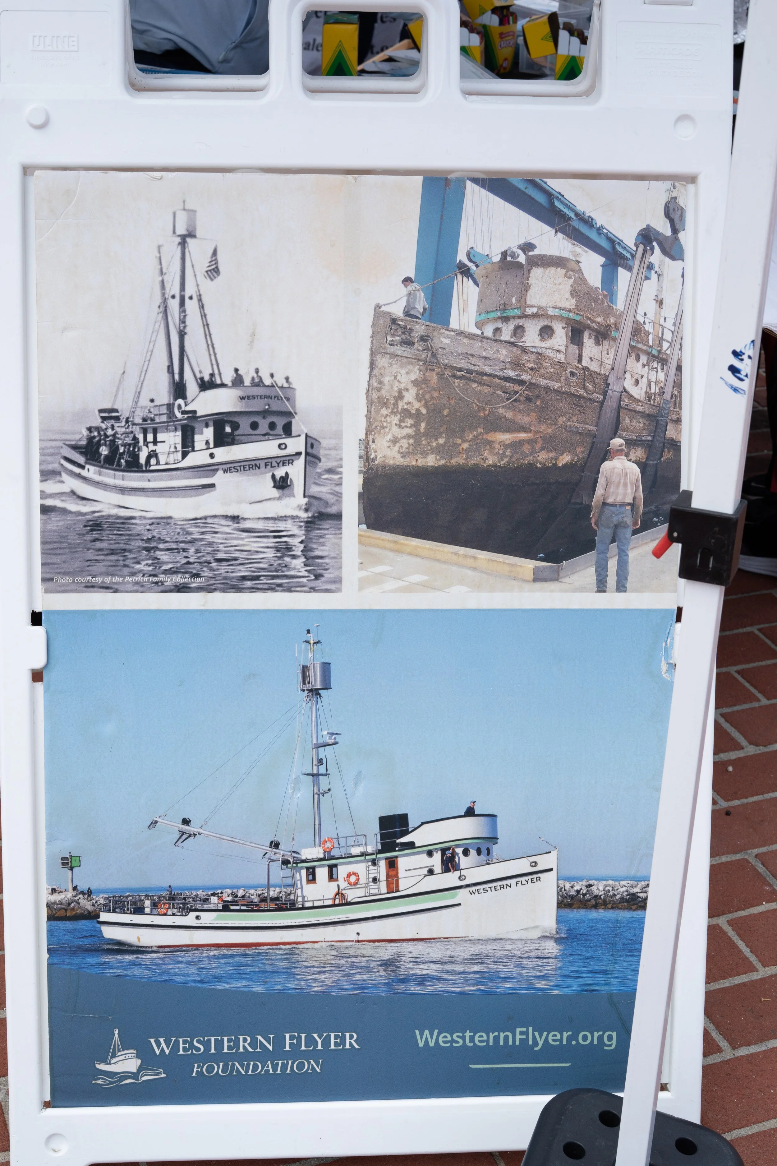 Whale Fest 2026-18.jpg