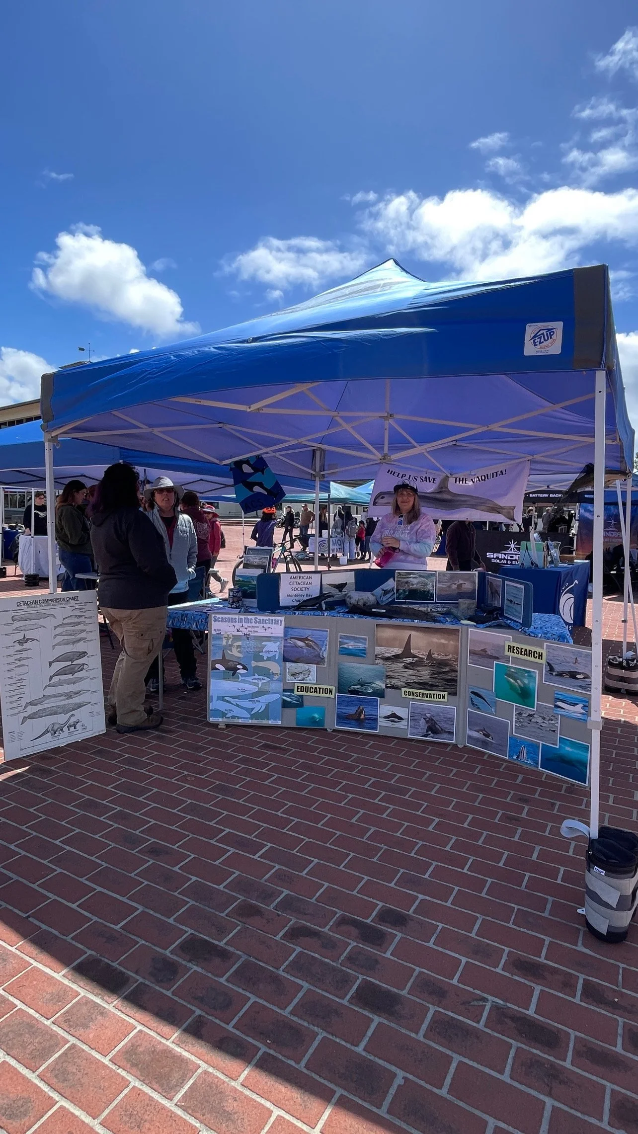 American Cetacean Society (4).jpg