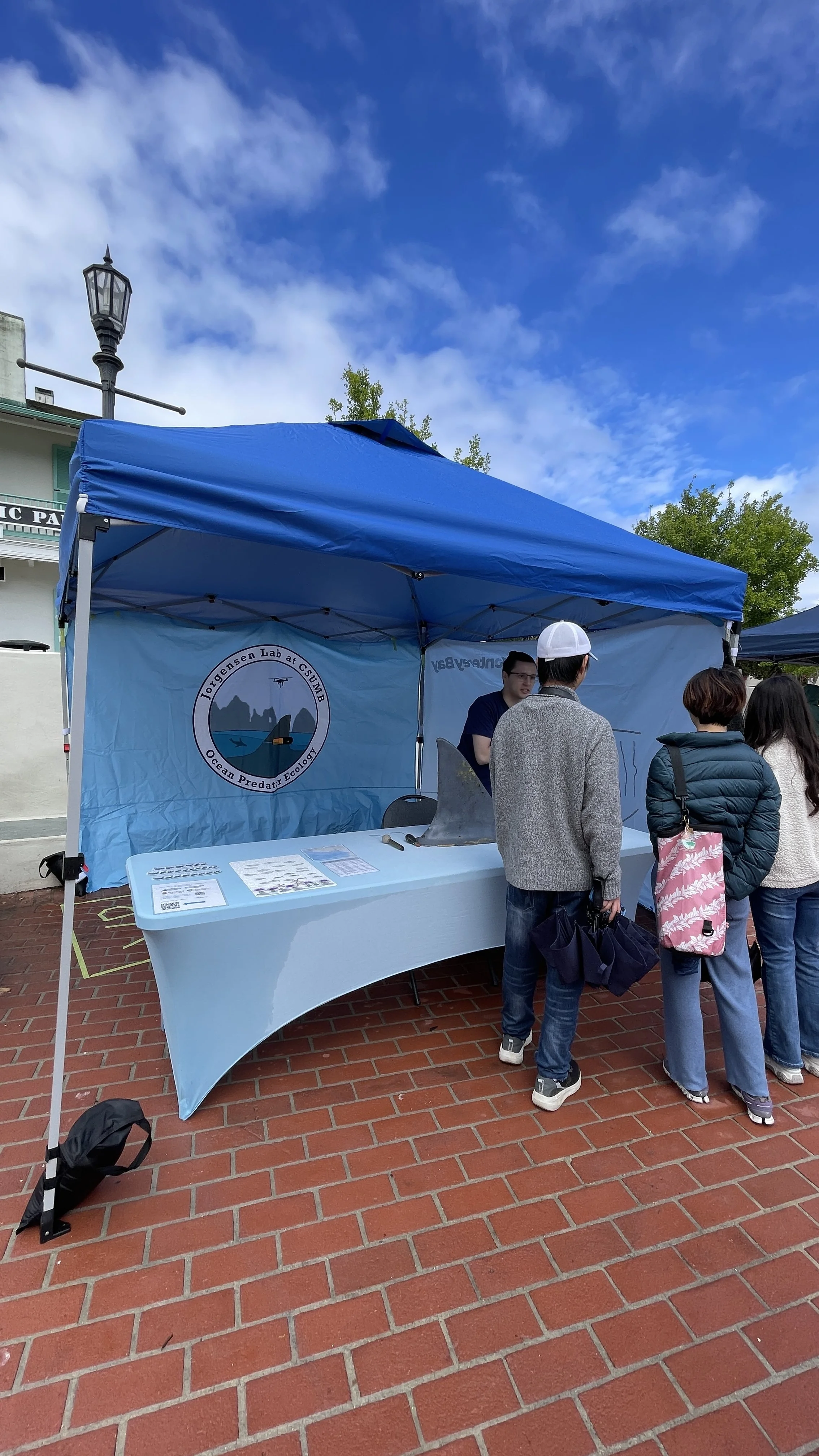 CSUMB Ocean Predator Ecology Lab (1).JPEG