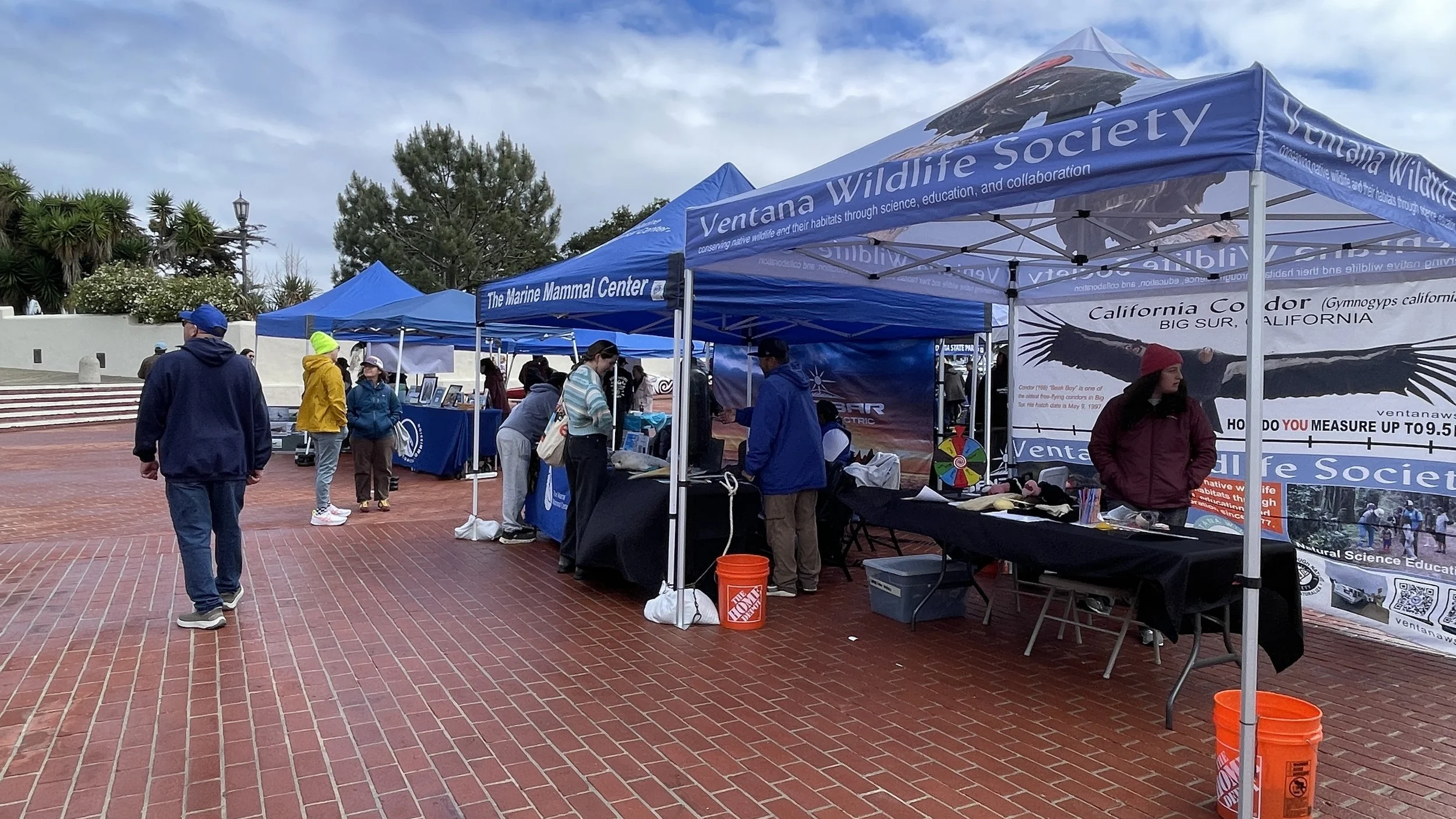 Ventana Wildlife Society (2).JPEG
