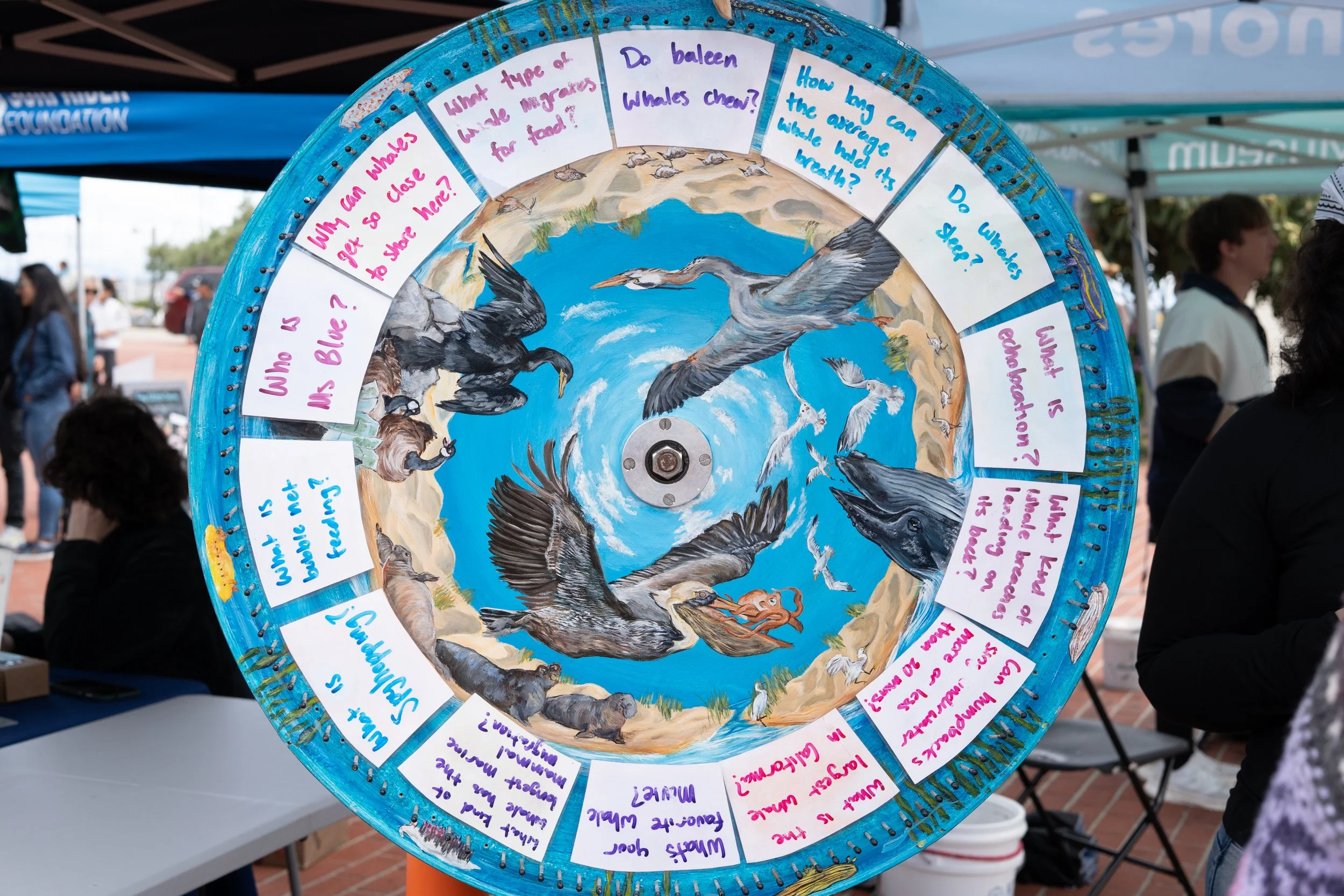 Whale Fest 2026-61.jpg