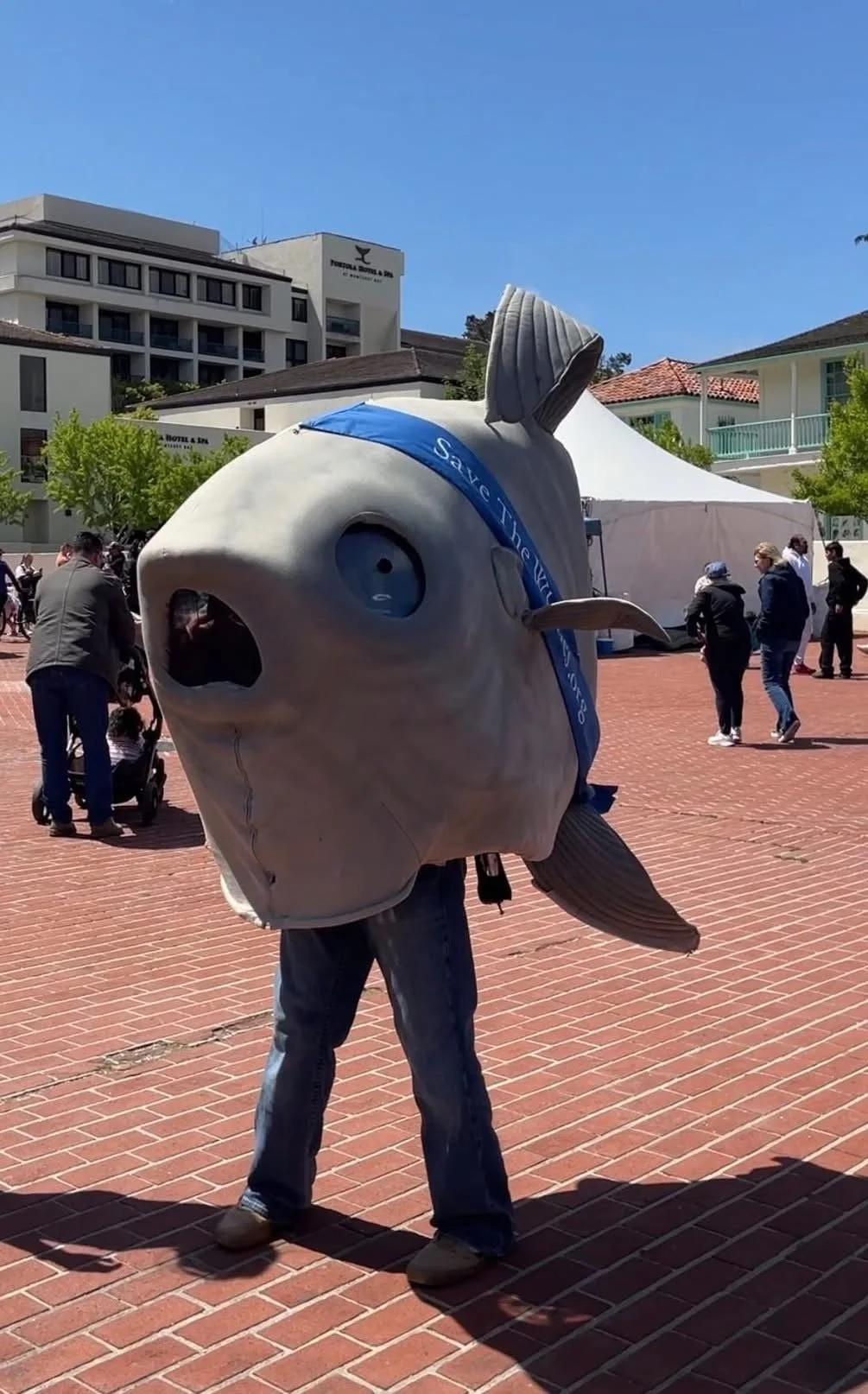 Save The Whales.JPG