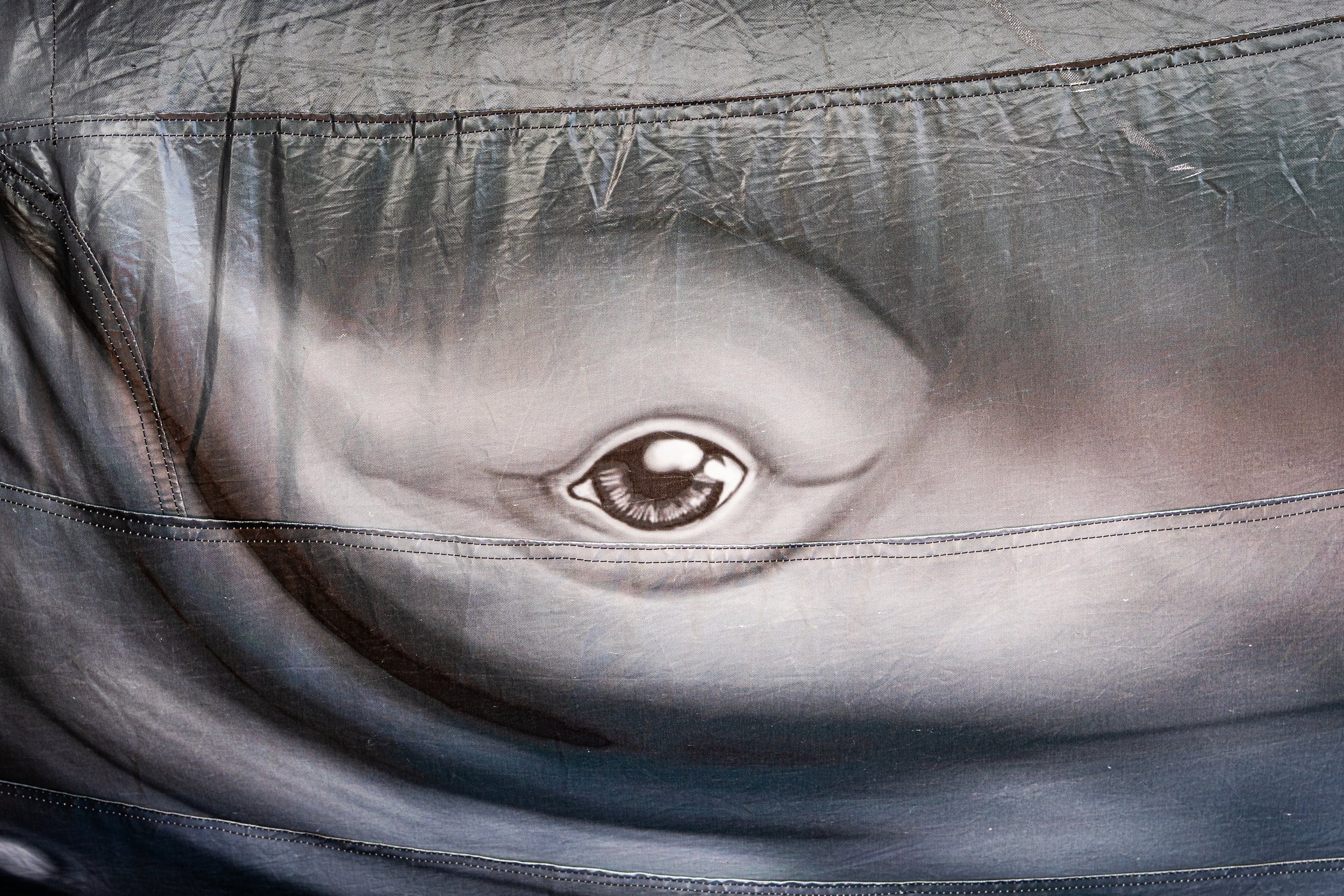 Whale Fest 2026-45.jpg