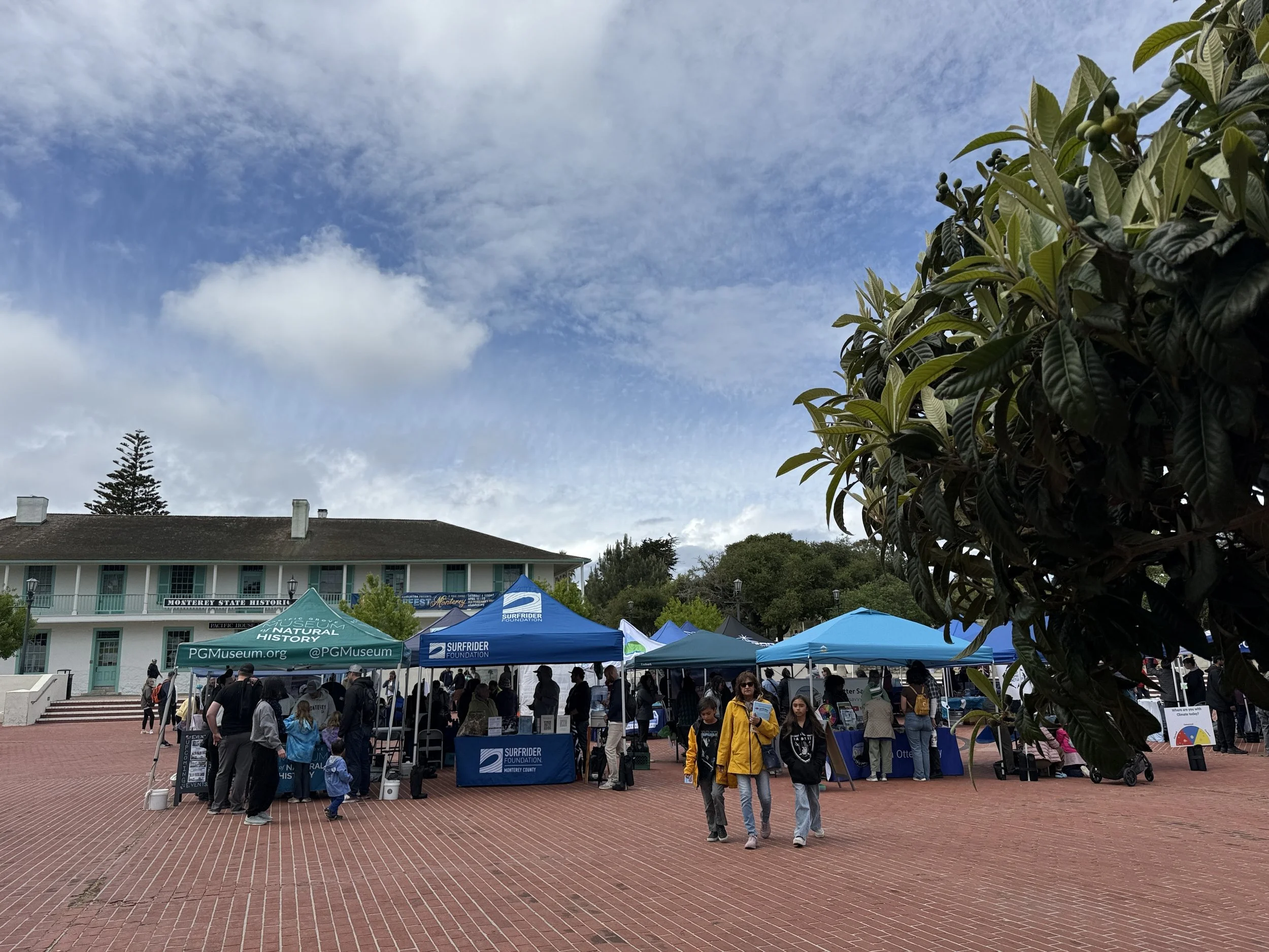 IMG_5013 - Copy.JPG