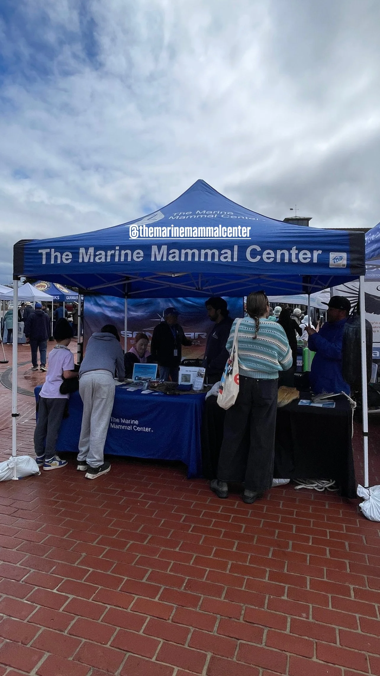 The Marine Mammal Center 4 (1).jpg