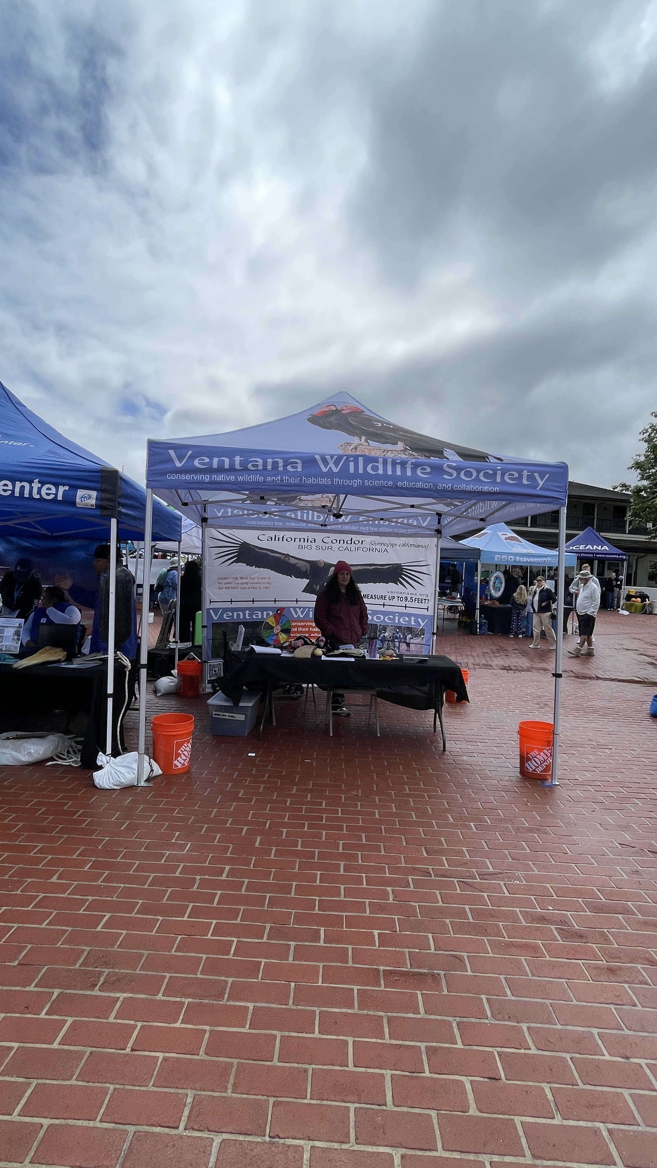 Ventana Wildlife Society (3).JPEG