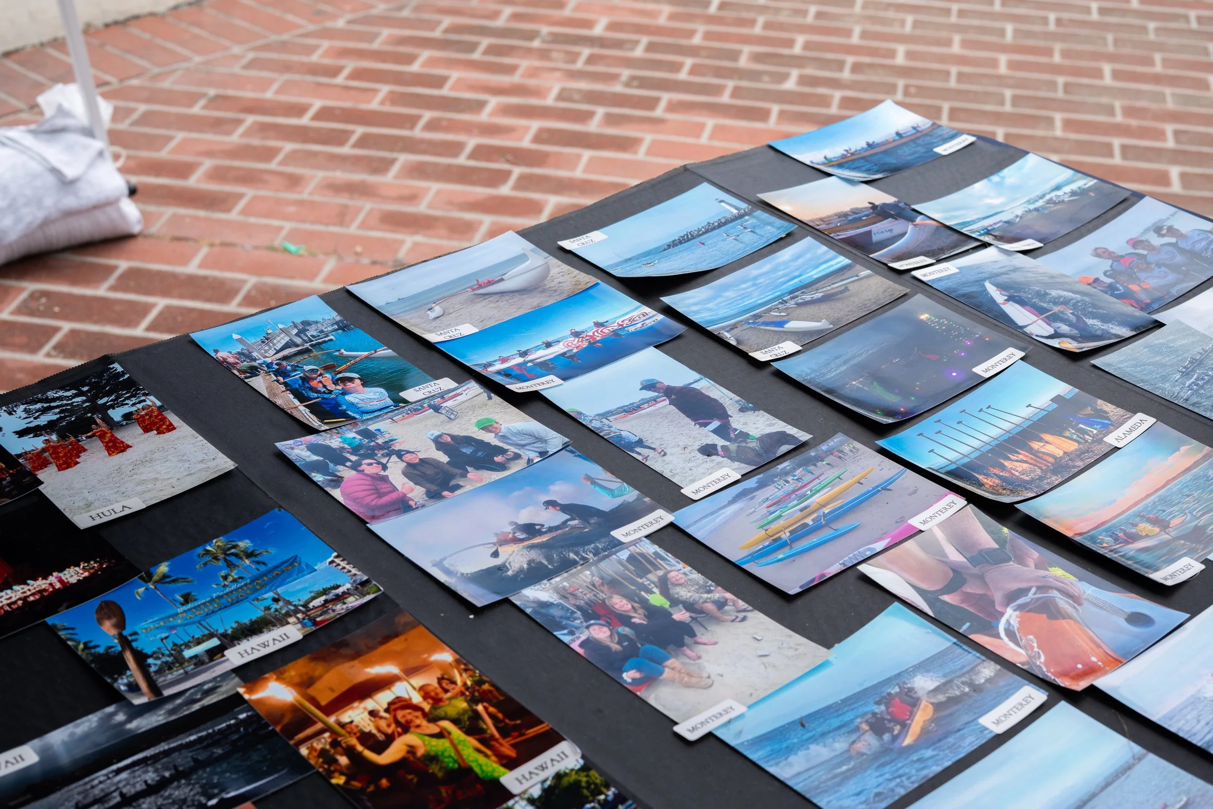 Whale Fest 2026-22.jpg