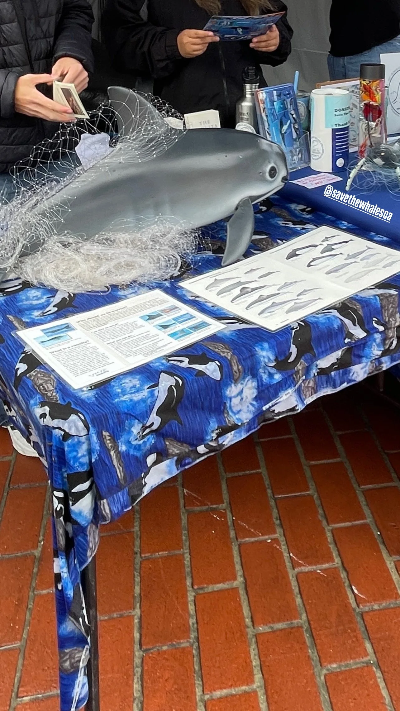 Save The Whales (3).jpg