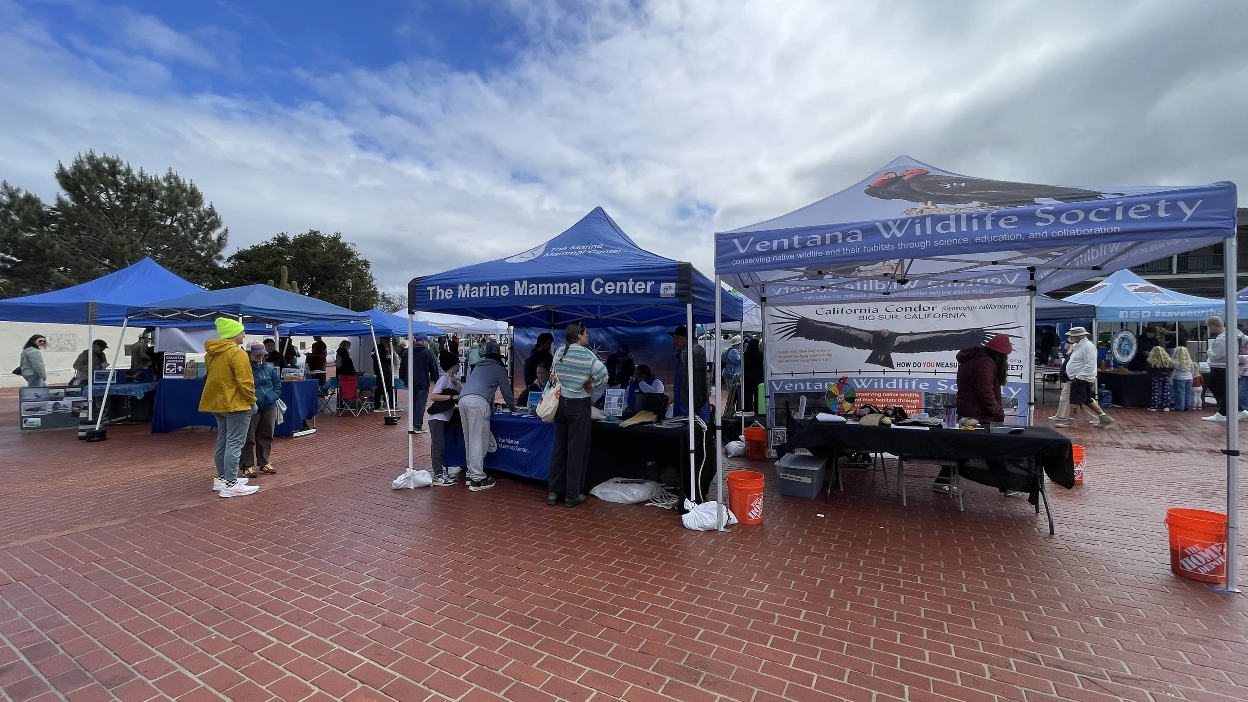 The Marine Mammal Center next to Ventana (4).JPEG