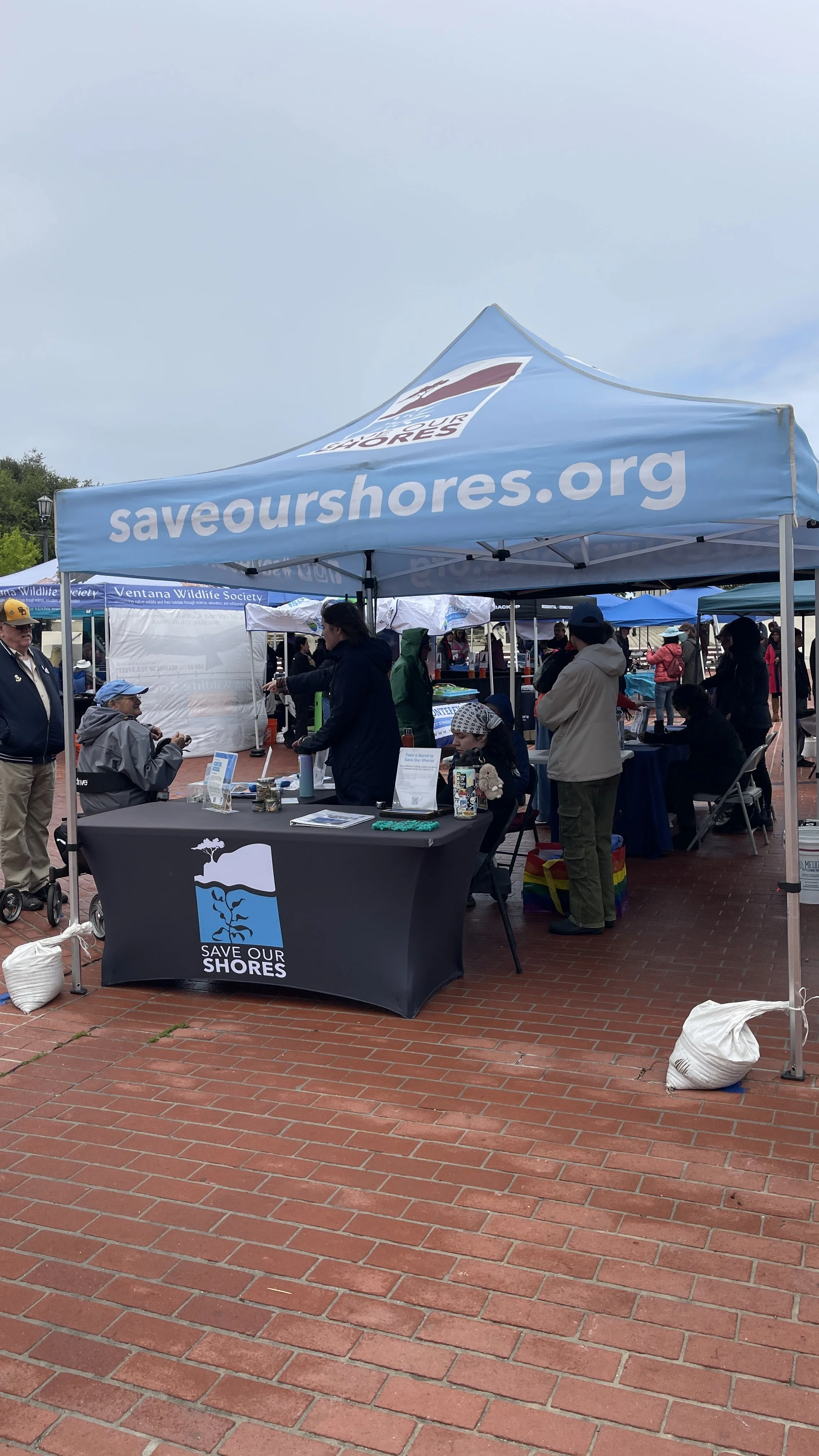 Save Our Shores (3).JPEG