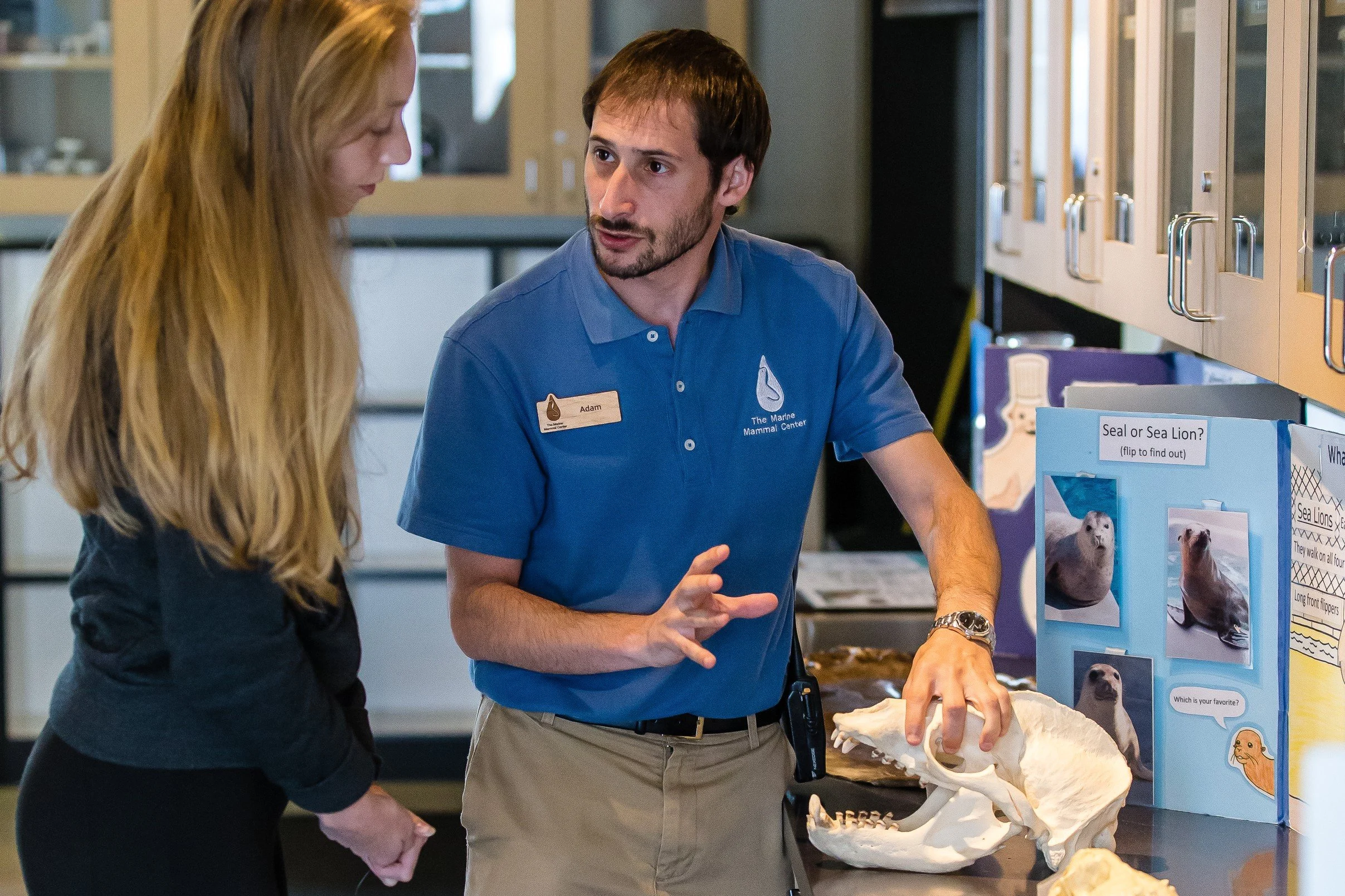 Person standing wearing a blue collared shirt and khaki pants with short brown hairrest. ing his hand on a marine mammal skull. Talking to someone standing on his left.
