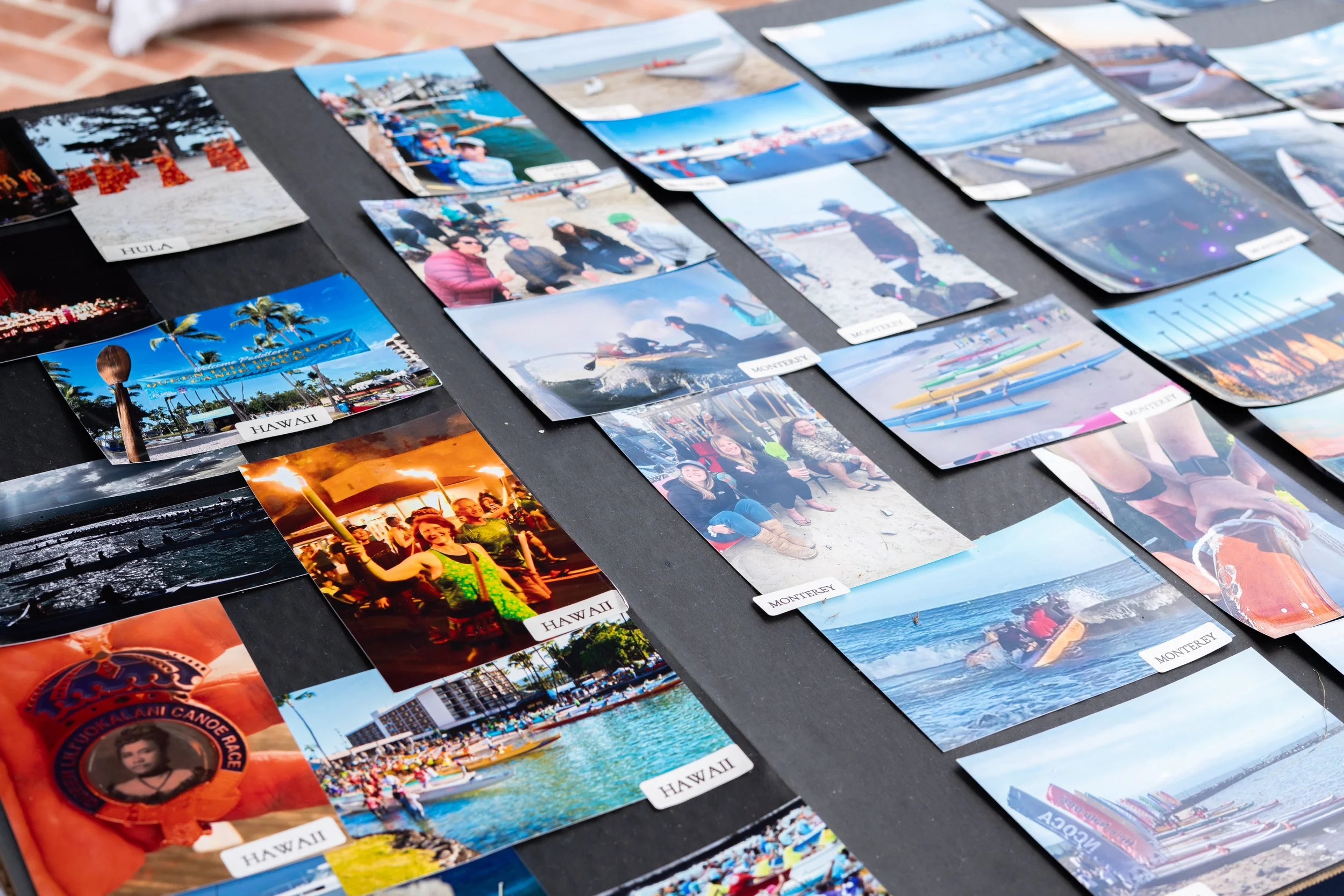 Whale Fest 2026-21.jpg