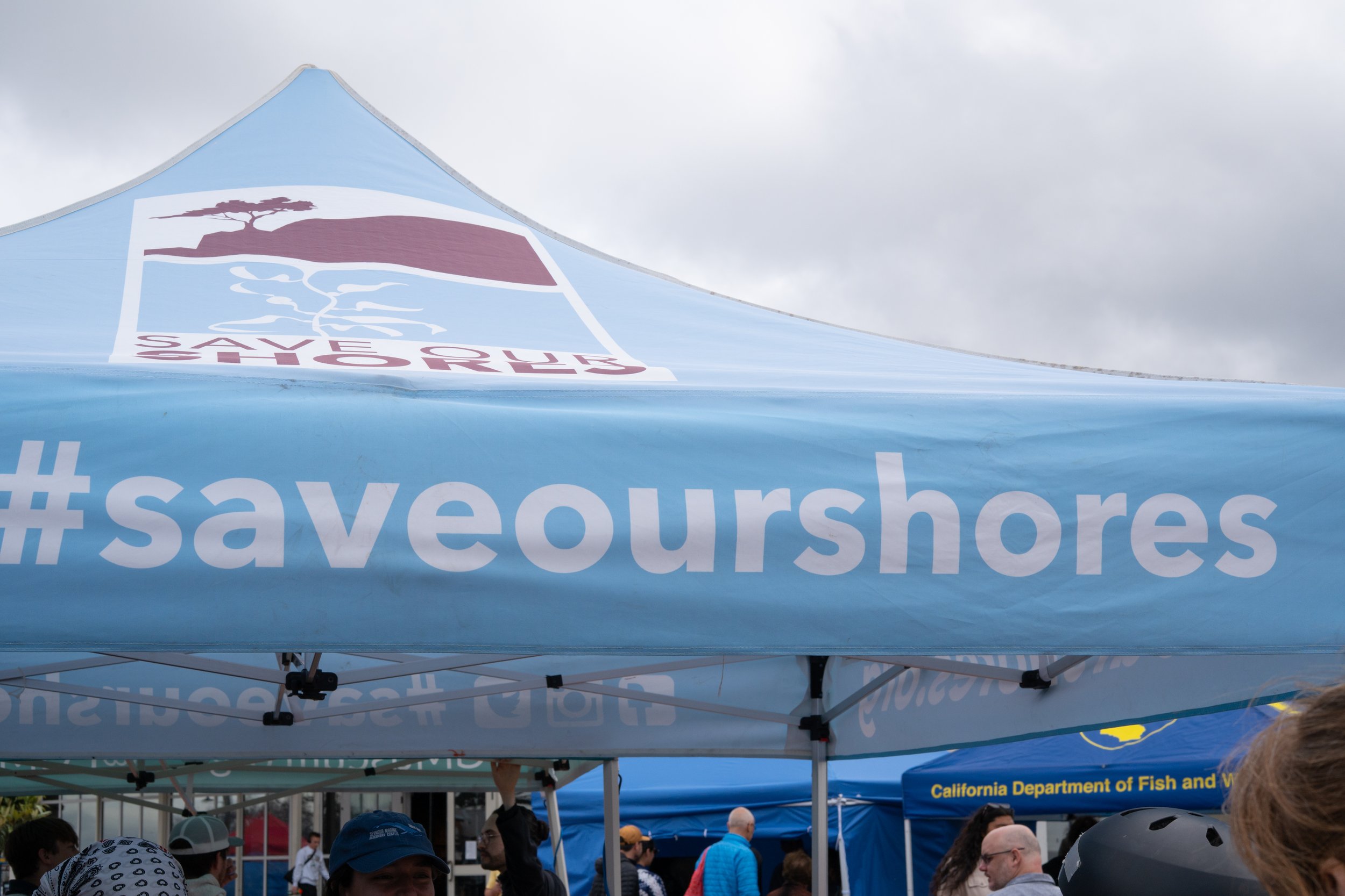 Whale Fest 2026-60.jpg