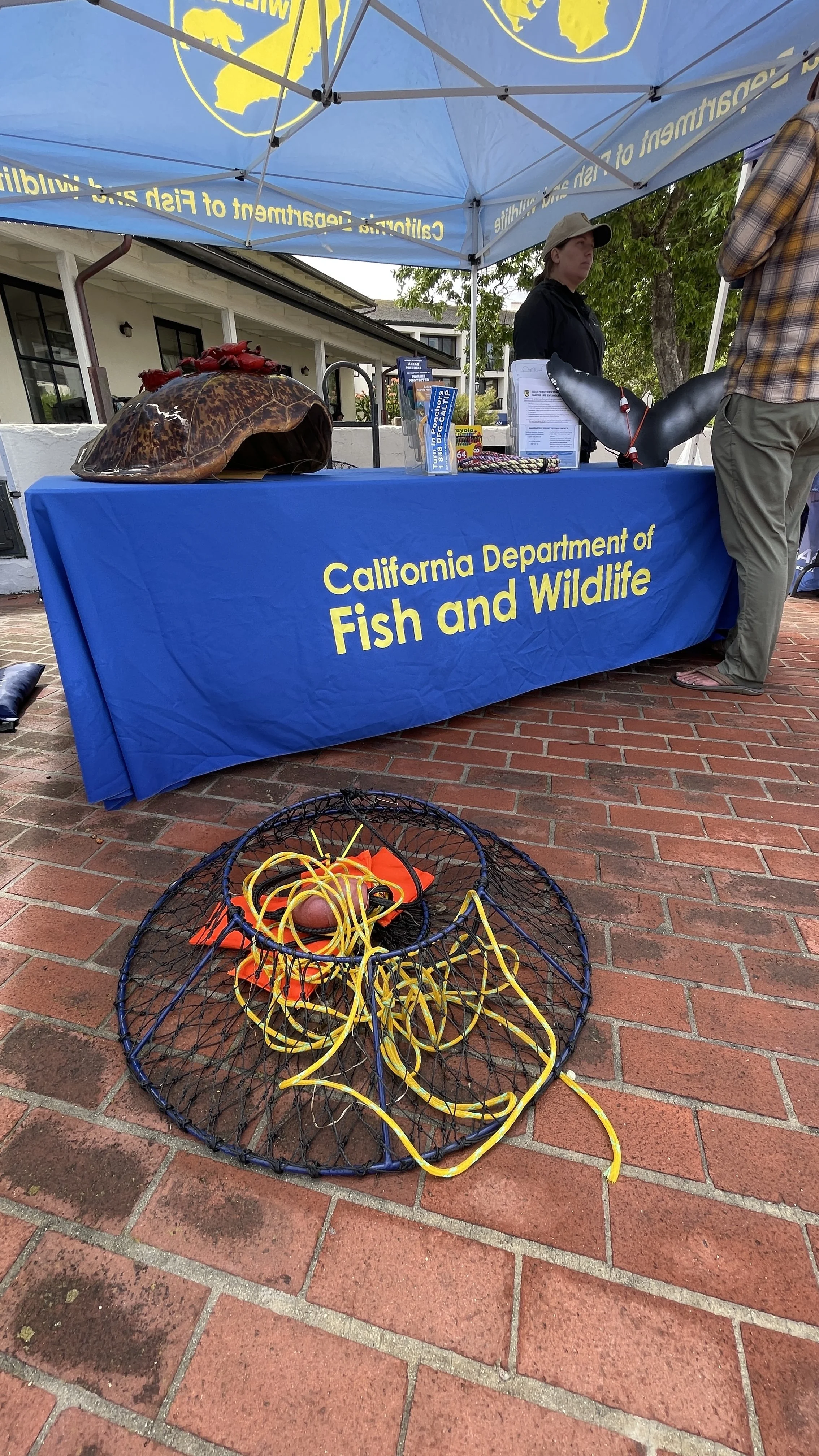 California Department of Fish and Wildlife (2).JPEG