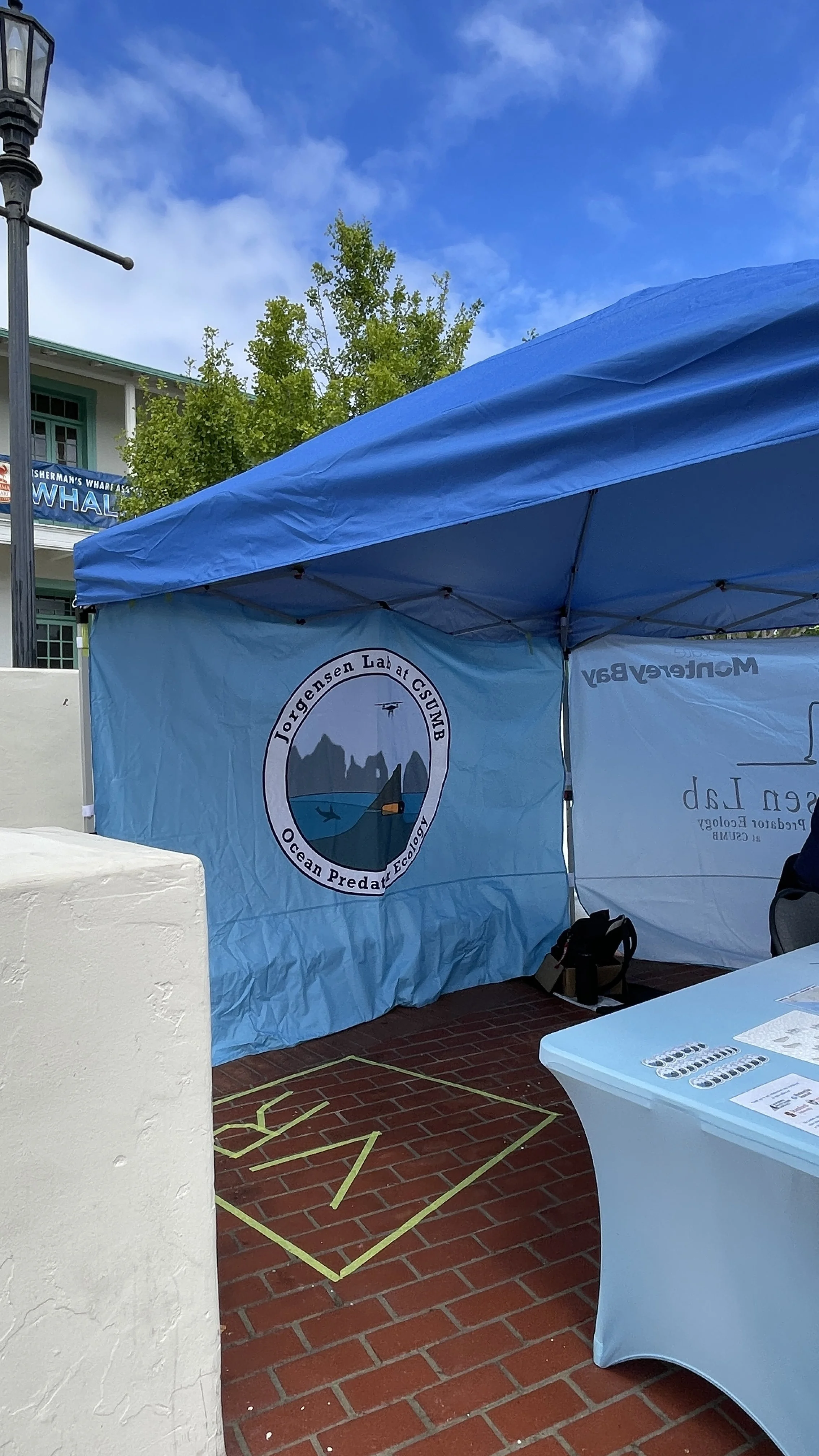 CSUMB Ocean Predator Ecology Lab (3).JPEG
