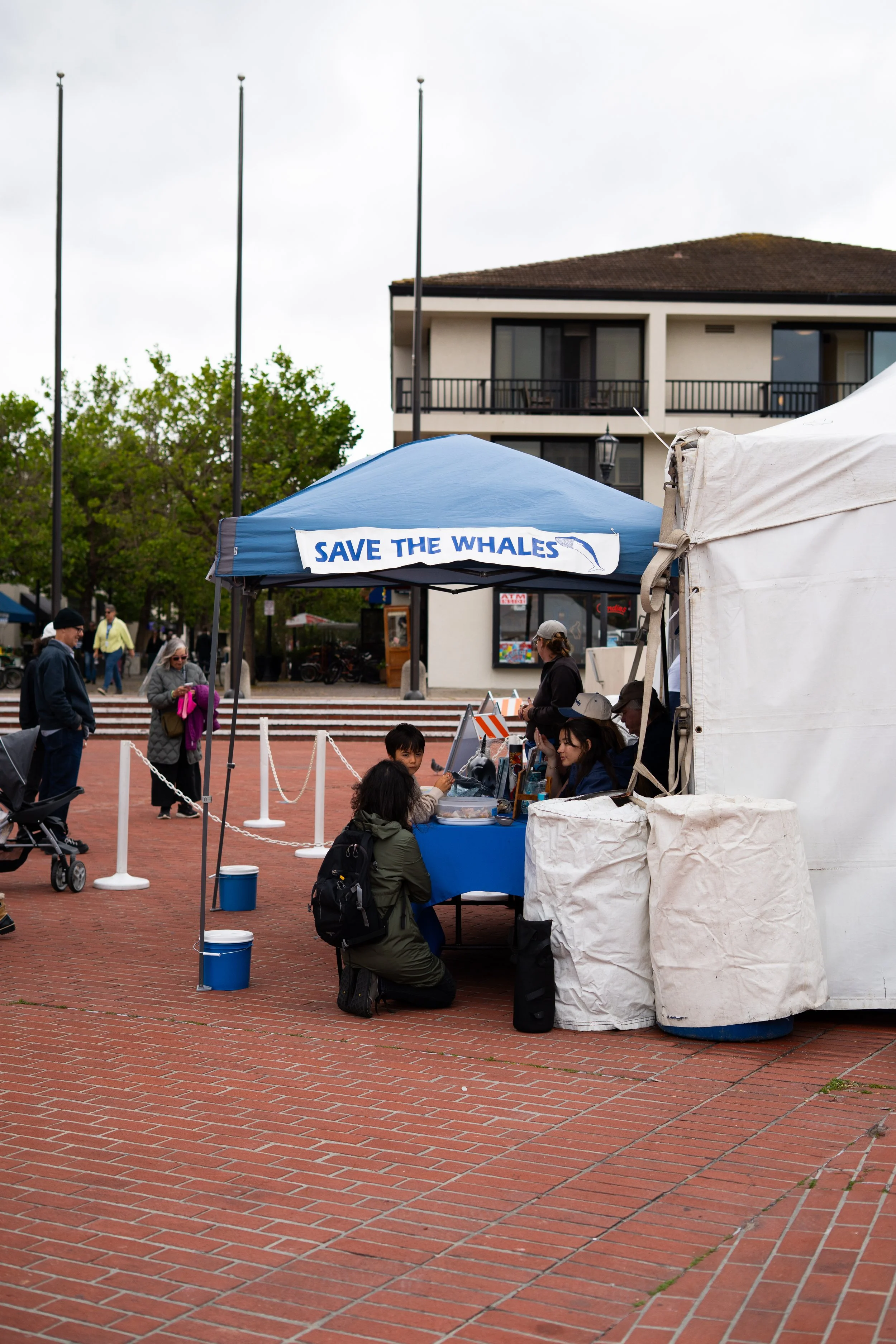 Whale Fest 2026-79.jpg
