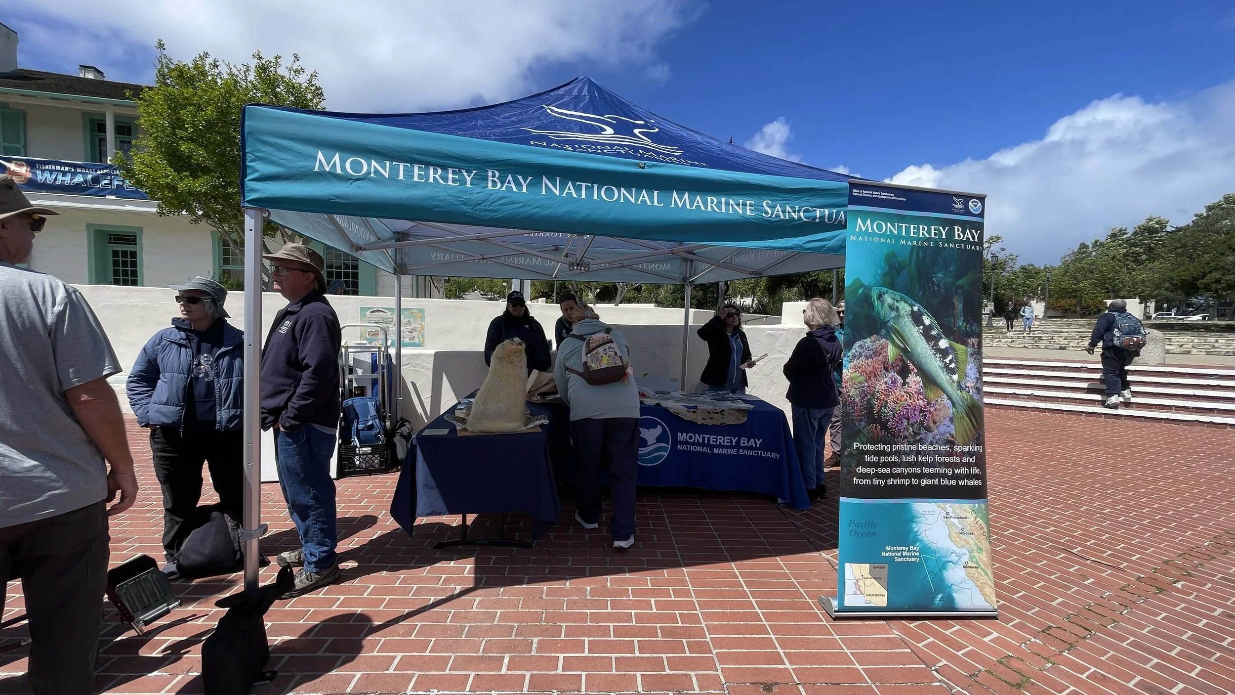 Monterey Bay National Marine Sanctuary (2).JPEG