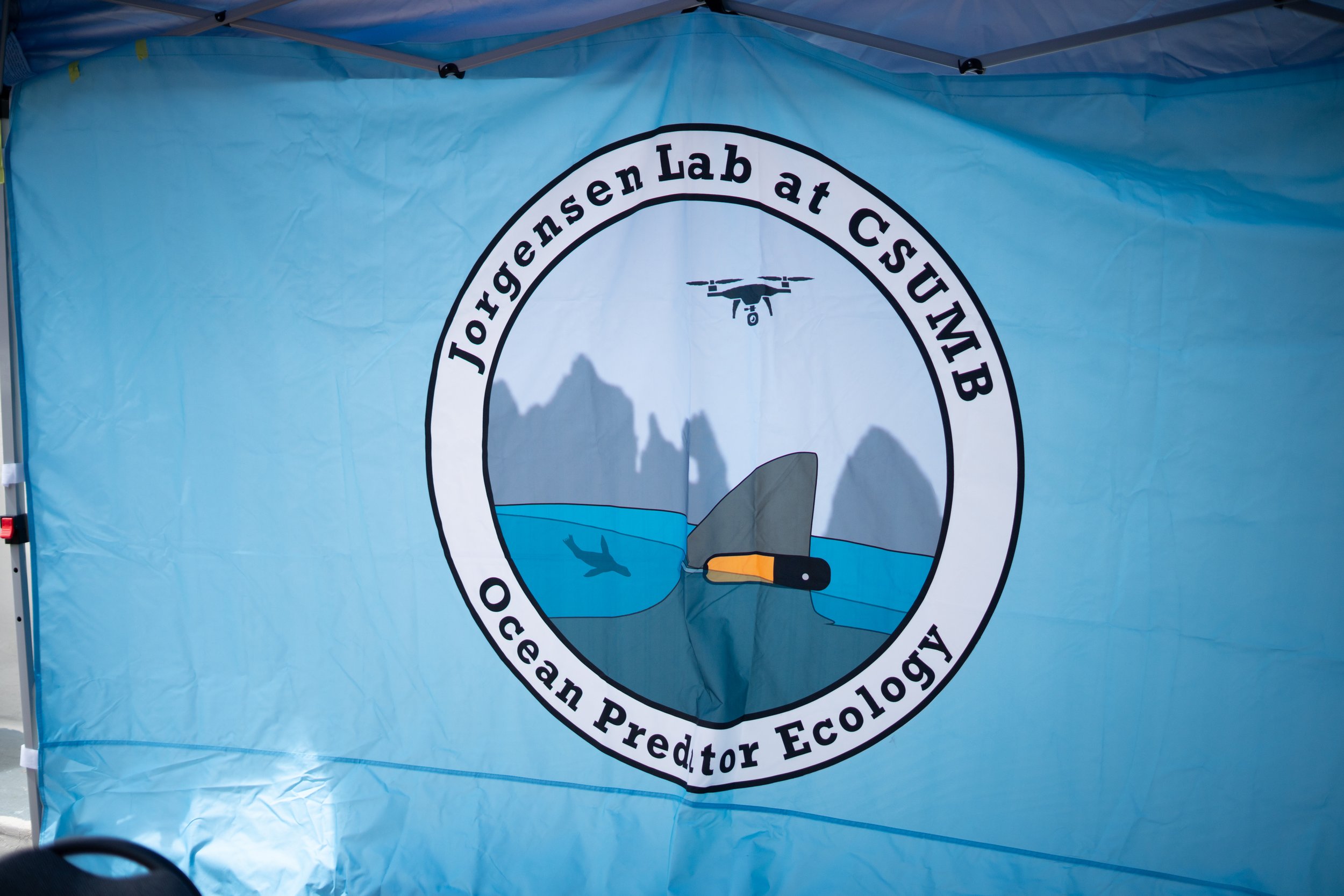 Whale Fest 2026-47.jpg