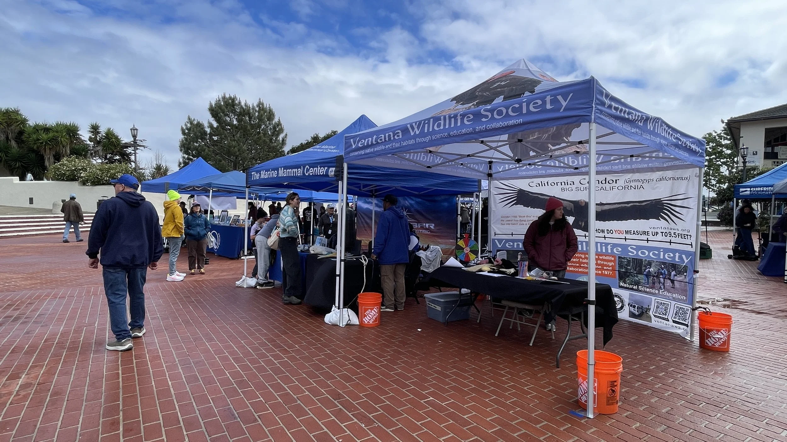 Ventana Wildlife Society (1).JPEG