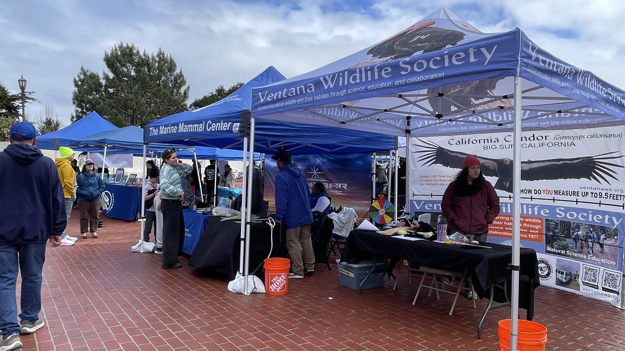 The Marine Mammal Center next to Ventana (3).JPEG